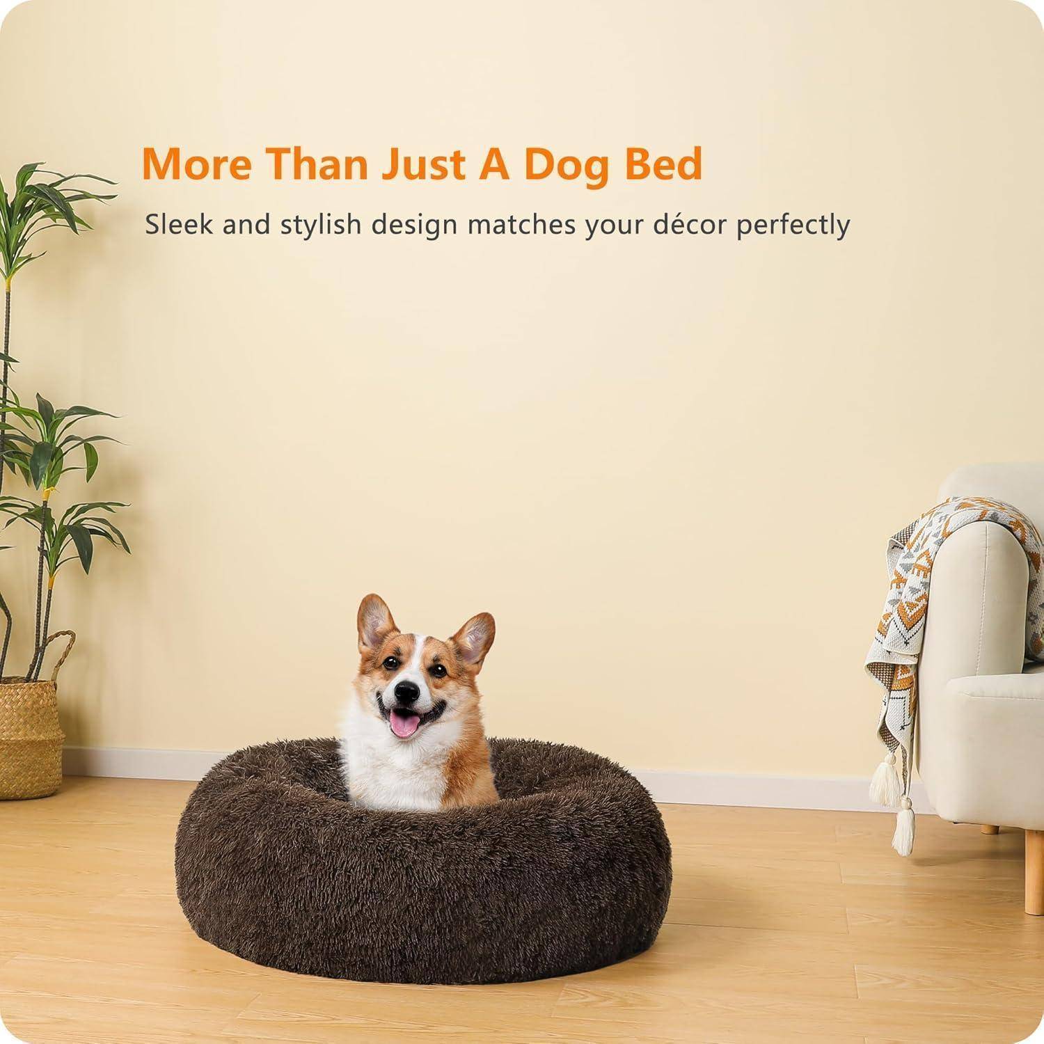Ein glücklicher Hund sitzt in einem flauschigen, braunen donutförmigen Bett im Wohnzimmer. Text oben liest sich: 