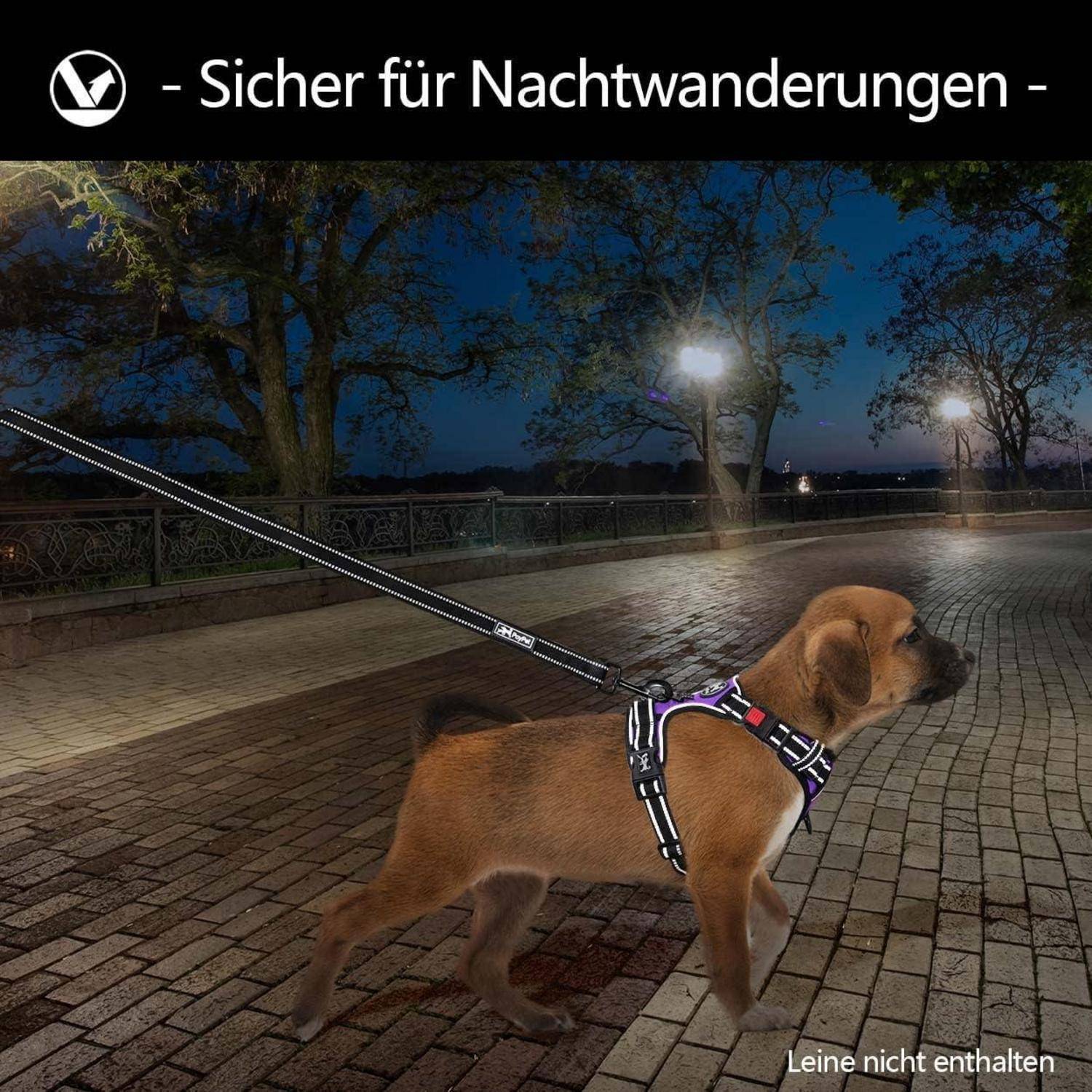 Ein Hund an der Leine geht nachts auf einem asphaltierten Weg und trägt ein reflektierendes Geschirr für bessere Sichtbarkeit. Text (auf Deutsch) betont die Sicherheit beim nächtlichen Spaziergang.
