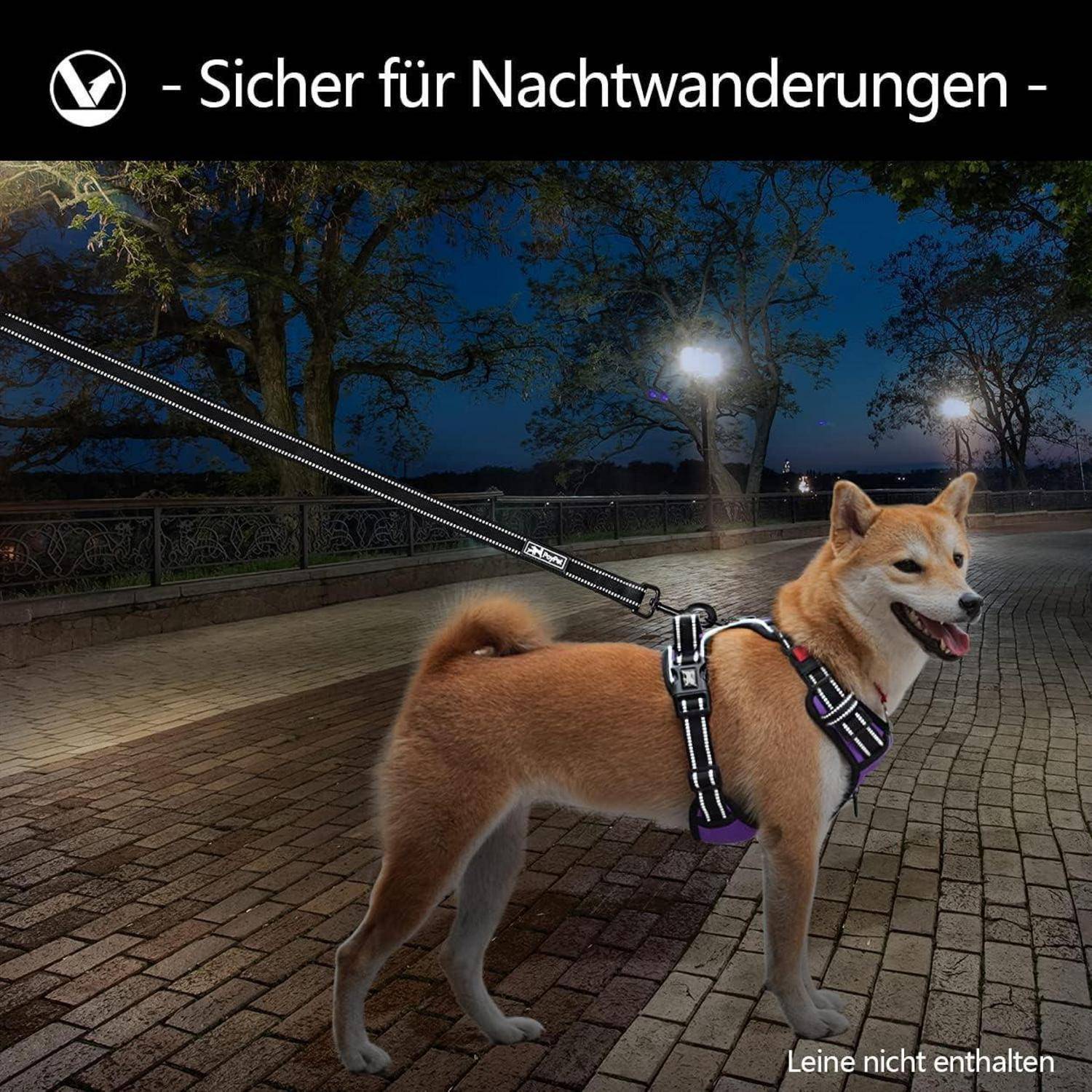 Ein Hund mit reflektierender Weste steht auf einem dunklen Pfad bei Nacht. Der Text darüber liest sich „Sicher für Nachtwanderungen