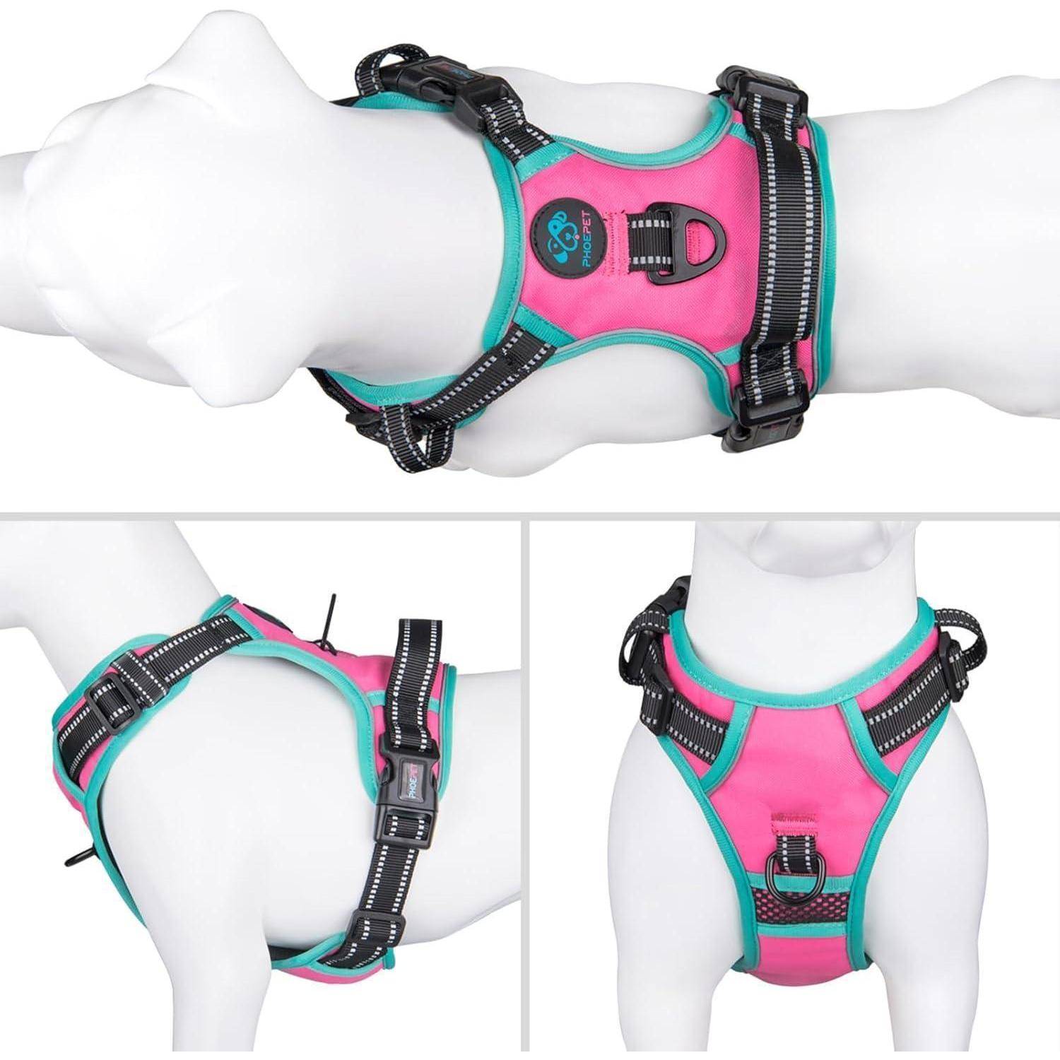 Ein Hund trägt ein Geschirr in Rosa und Petrol mit Schnallen, ausgestattet mit reflektierenden Streifen für mehr Sicherheit und einem bestickten Pfotenabdruck auf der Brust.