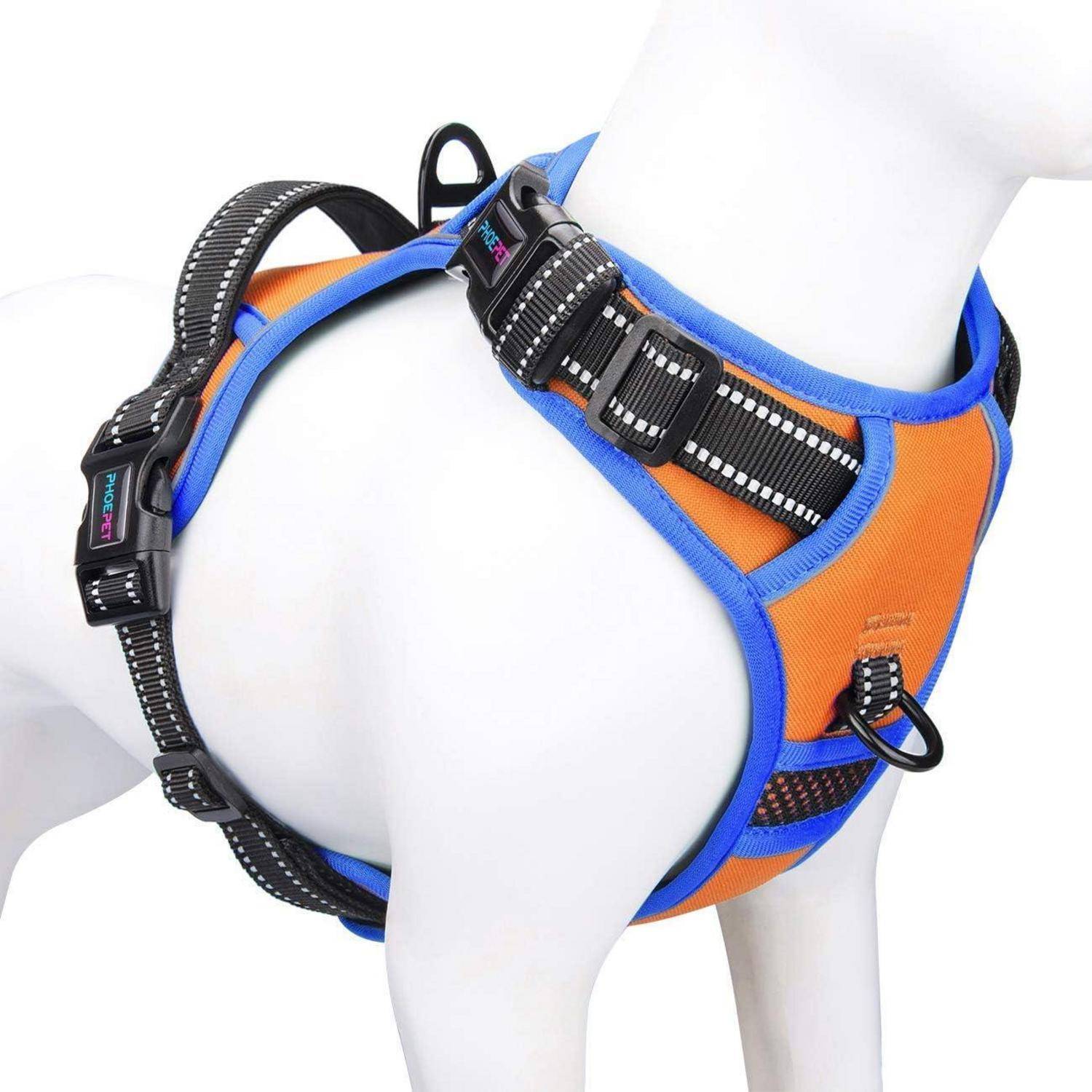 Hund, der ein orangefarbenes und blaues Geschirr mit reflektierenden Streifen trägt, das für Sicherheit und Komfort konzipiert ist und Brust und Rücken bedeckt.
