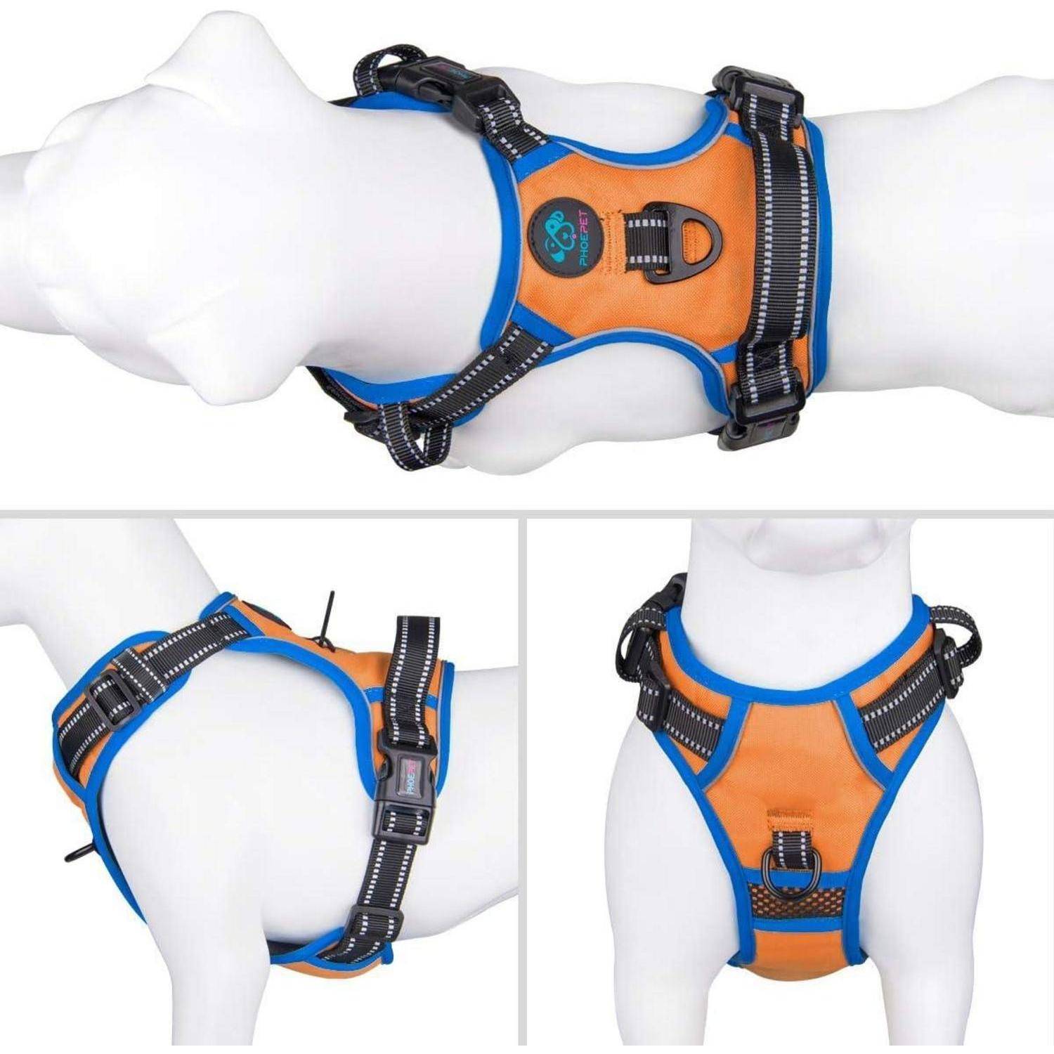 Orange und blauer Hundegeschirr mit verstellbaren Riemen, Metallringen und sicheren Schnallen, aus drei Winkeln präsentiert, um die Merkmale hervorzuheben.