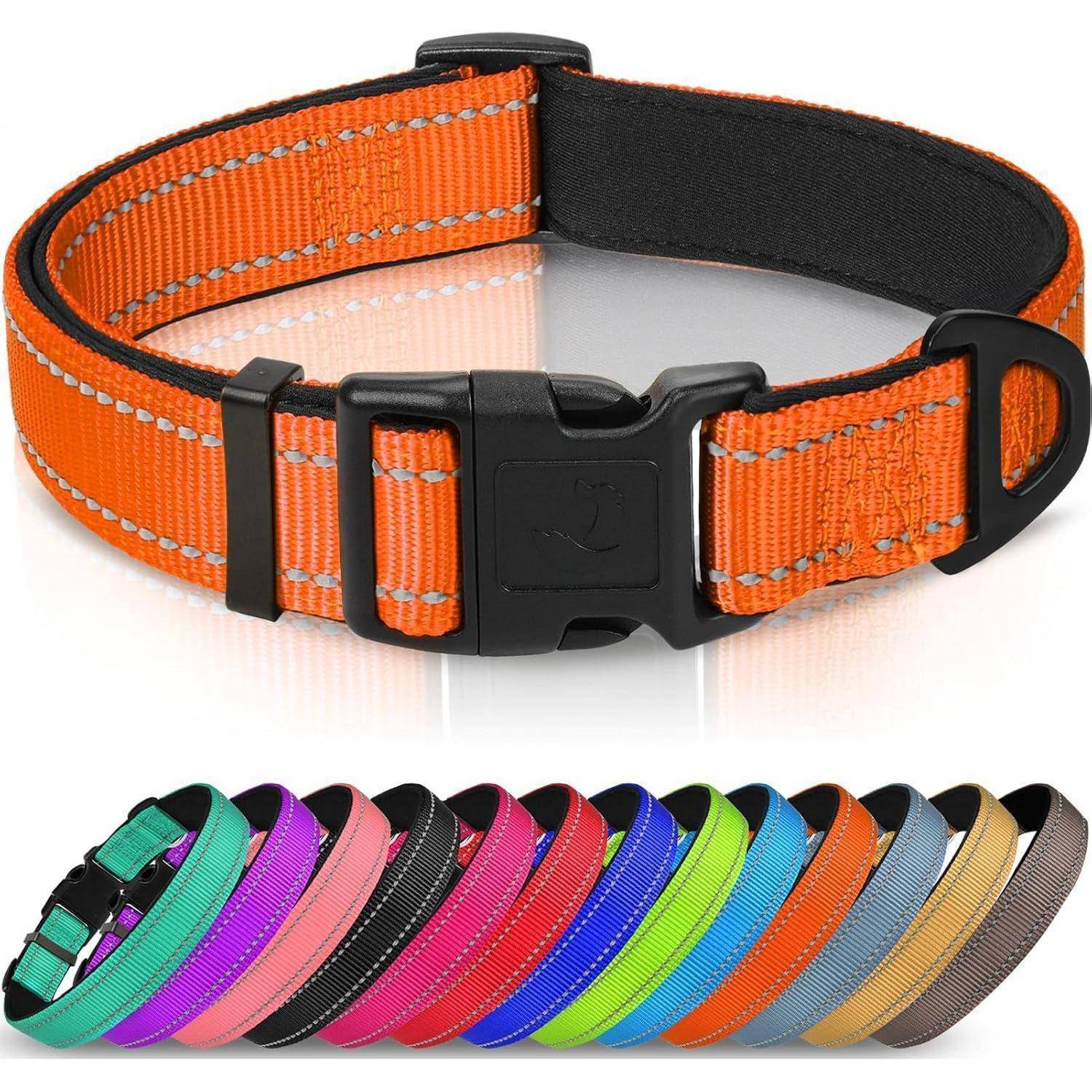 Eine Sammlung von leuchtenden, reflektierenden Hundehalsbändern in verschiedenen Farben, darunter Orange, Pink, Blau und Grün, in einer Halbkreisanordnung präsentiert.
