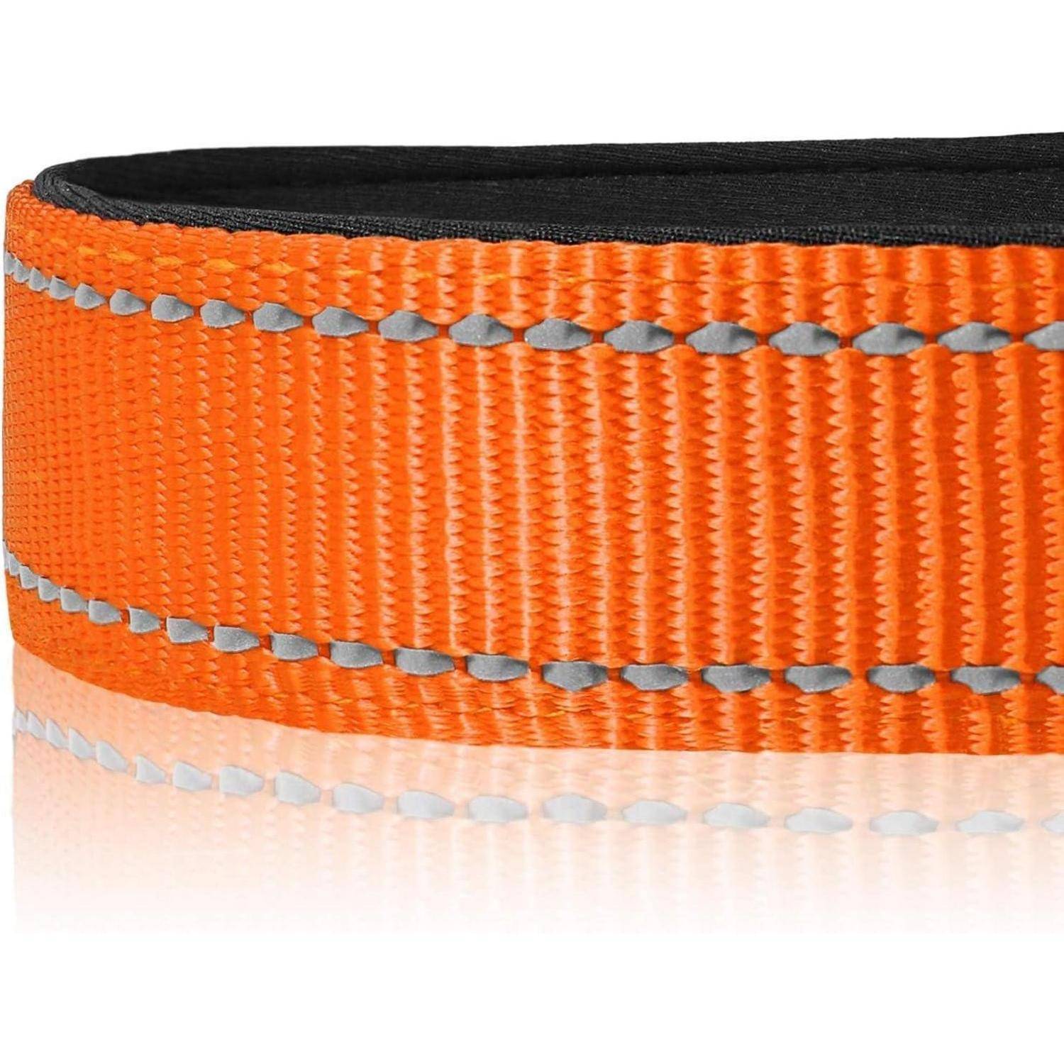 Ein orangefarbener Nylonriemen mit reflektierender Naht, zu einer Schlaufe gefaltet, auf weißem Hintergrund.