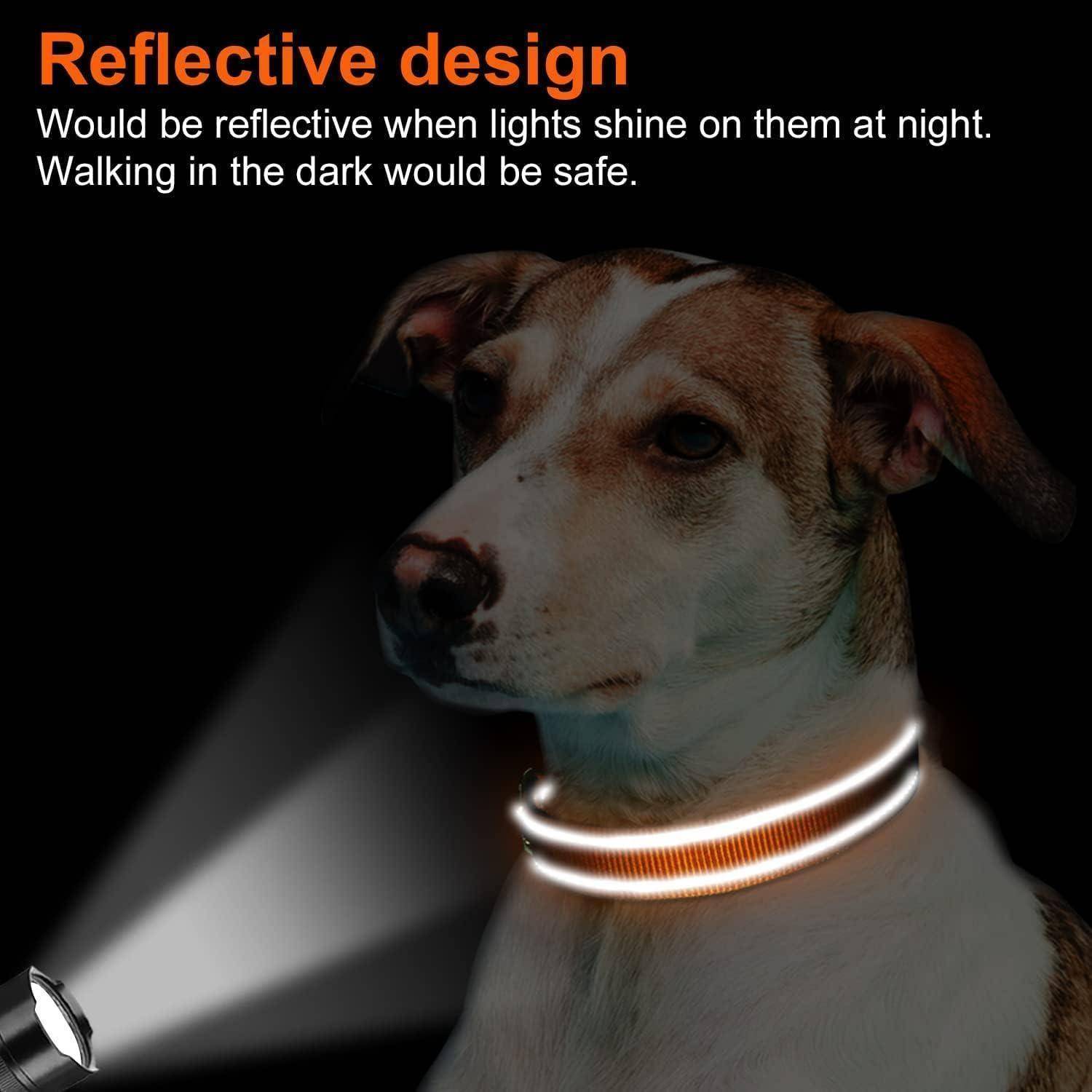 Ein Hund trägt einen reflektierenden Kragen, der in einem Taschenlampenstrahl leuchtet, mit dem Text ‚Reflektierendes Design', der die Sicherheit in der Dunkelheit betont.