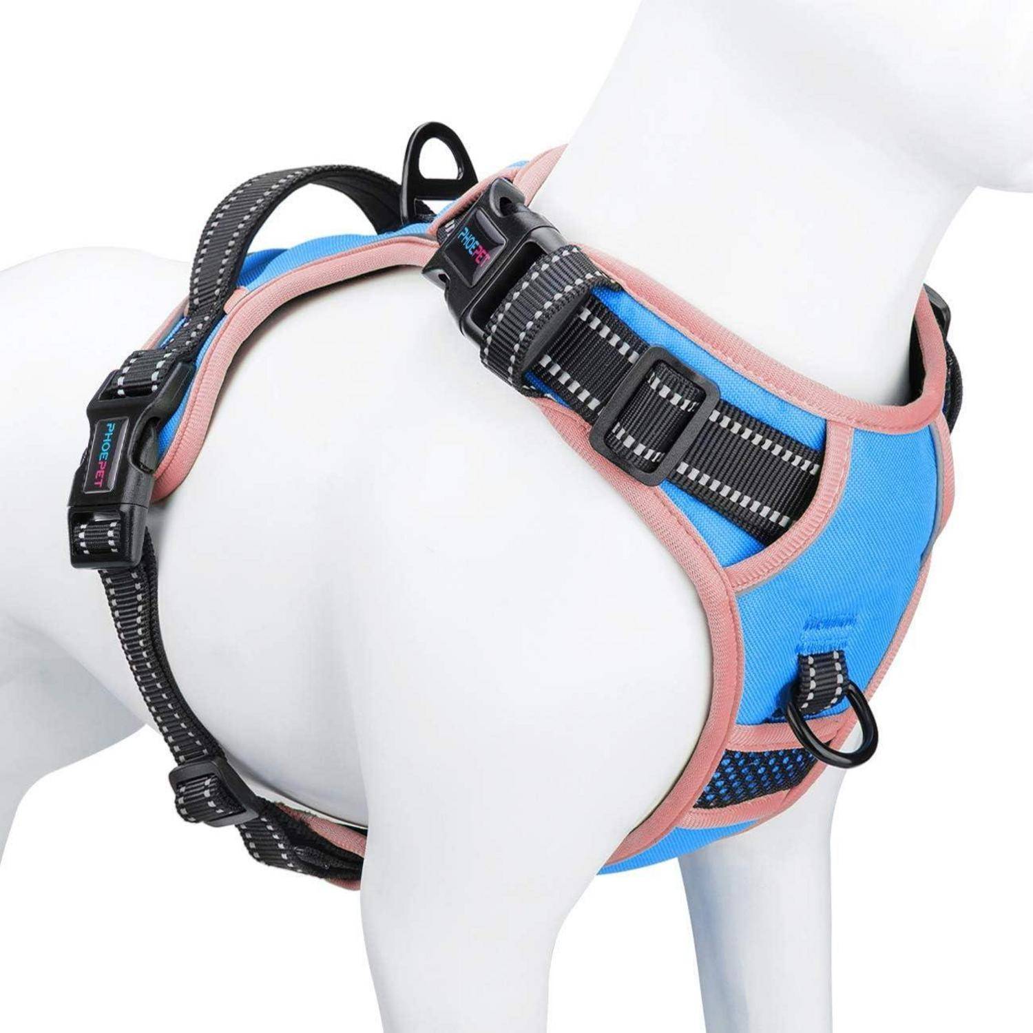 Ein blau-rosa Hundegeschirr, das an einer weißen Schaufensterpuppe gezeigt wird. Es verfügt über verstellbare schwarze Schnallen und einen Metallring zur Befestigung der Leine.
