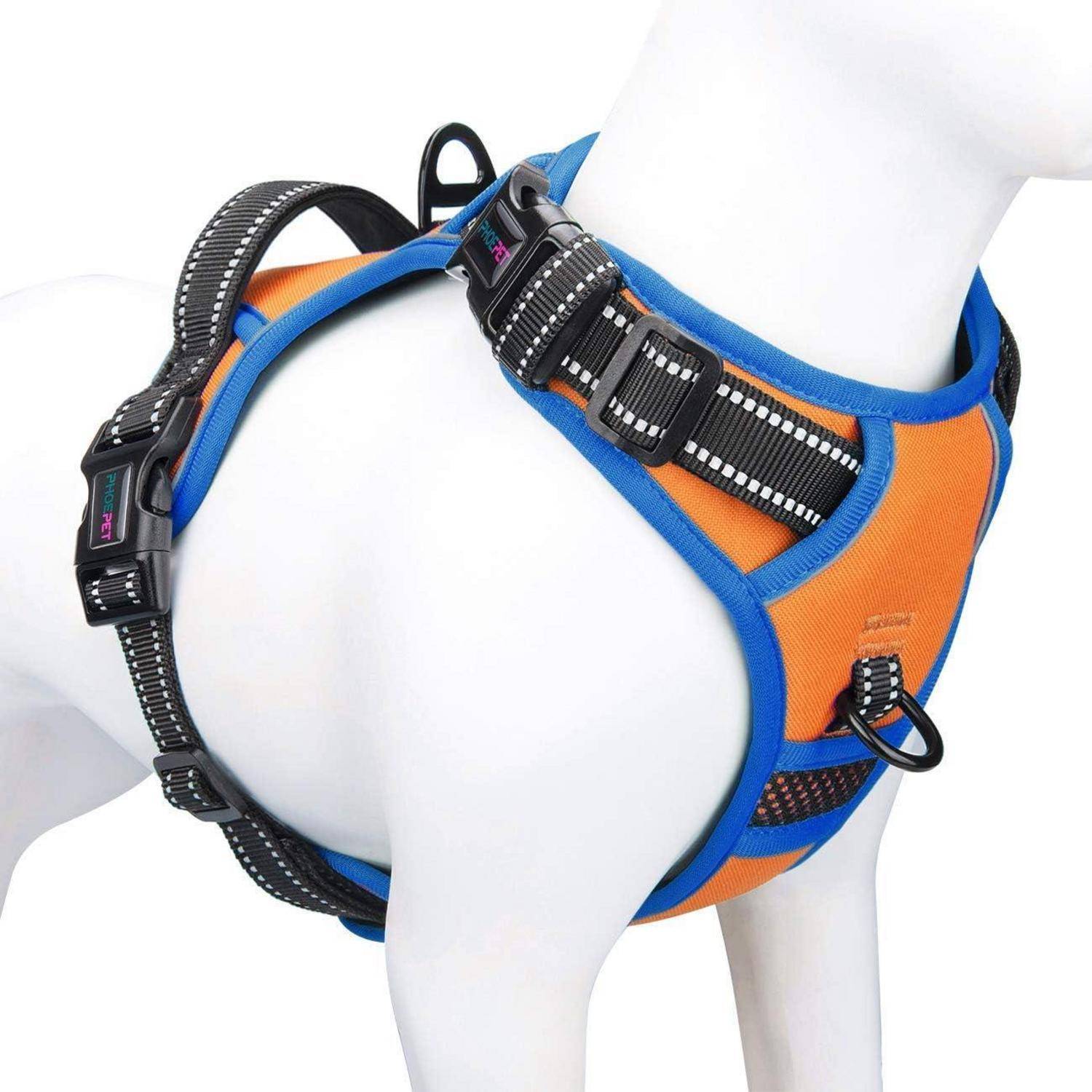 Ein Hund, der ein hellorangefarbenes und blaues Geschirr mit schwarzen Schnallen und reflektierenden Streifen vor einem weißen Hintergrund trägt.