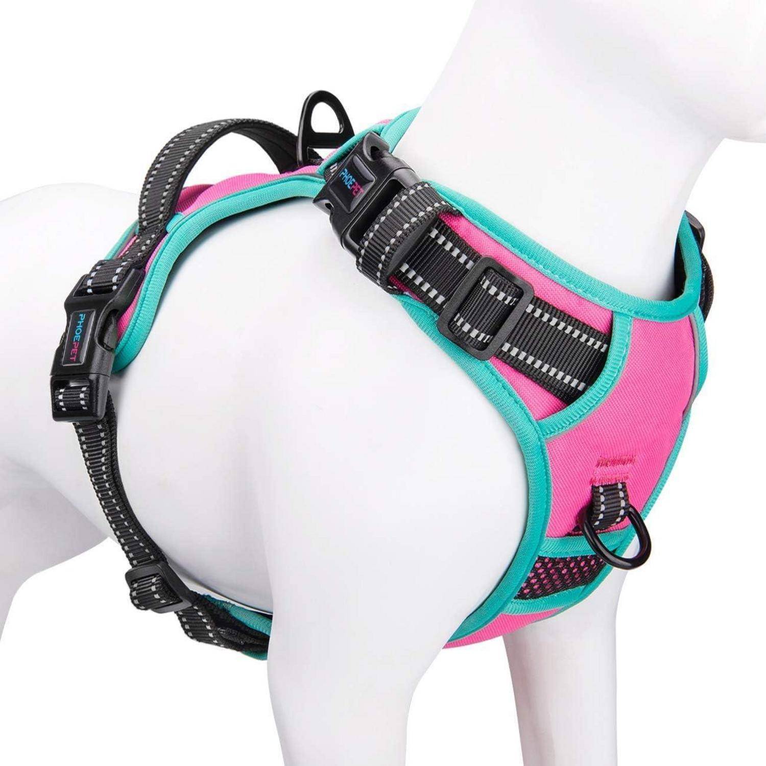 Ein Hund trägt ein Geschirr in Rosa und Türkis mit schwarzen Schnallen und Riemen. Das Geschirr verfügt über Metallringe zur Befestigung der Leine.