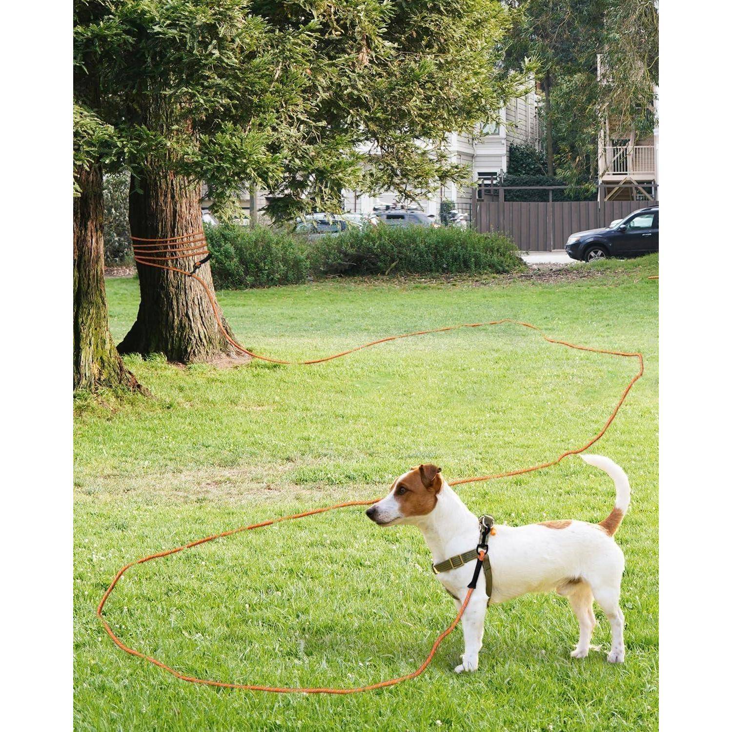 Schleppleine 15m Hunde 15m- kein Griff (1er Pack) Orange
