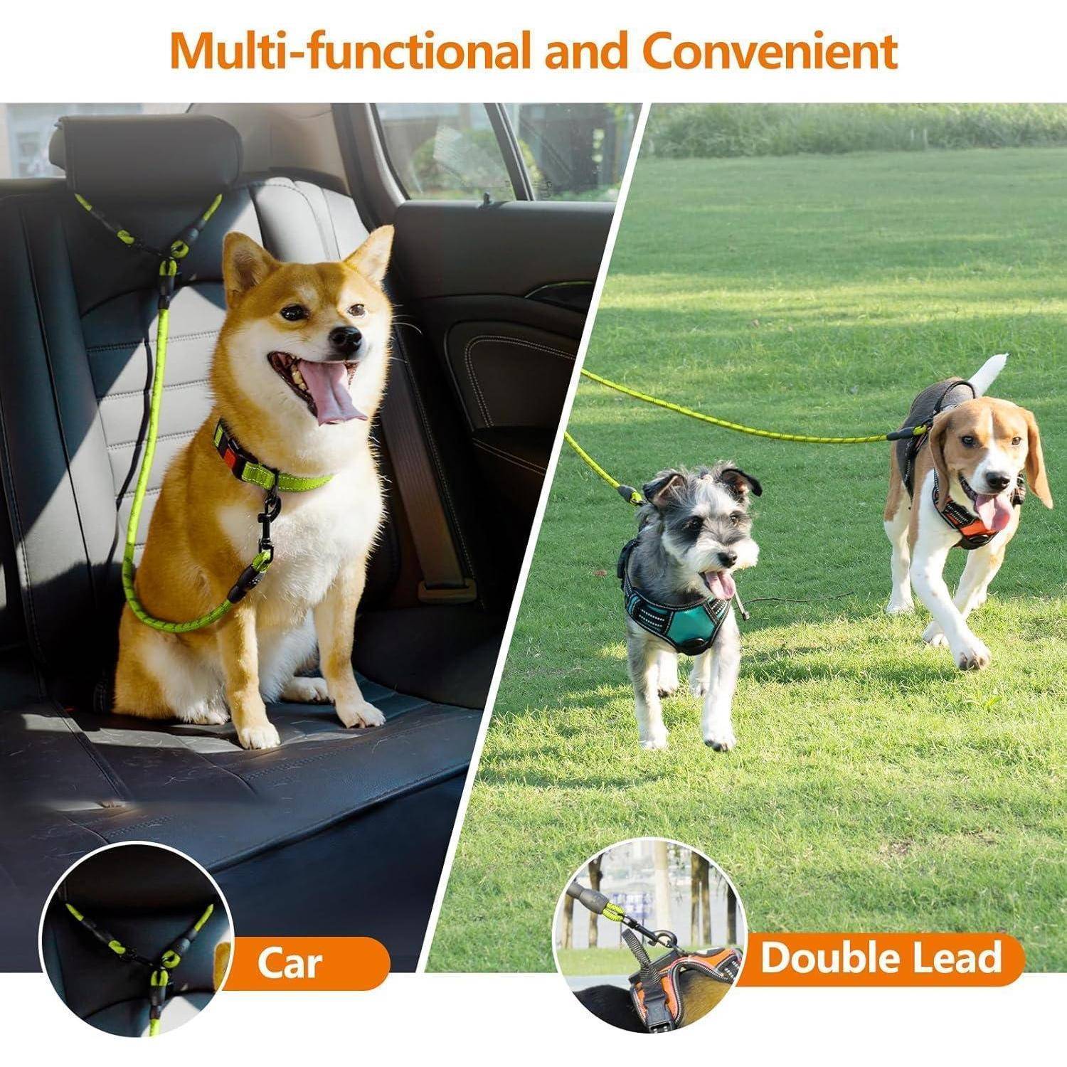 ‚Multifunktional und praktisch' Bild, das einen Hund, der in einem Autositz gesichert ist, und zwei Hunde an einer Doppelleine zeigt und damit die vielseitige Verwendung einer Hundeleine veranschaulicht.