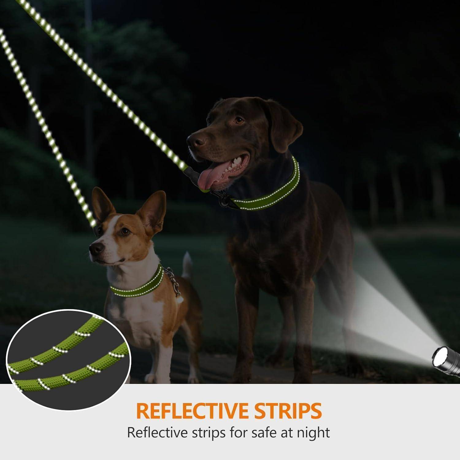 Zwei Hunde bei Nacht, die Halsbänder mit reflektierenden Streifen tragen. Einschub zeigt eine Nahaufnahme des Halsbands. Text lautet: „Reflektierende Streifen für mehr Sicherheit bei Nacht