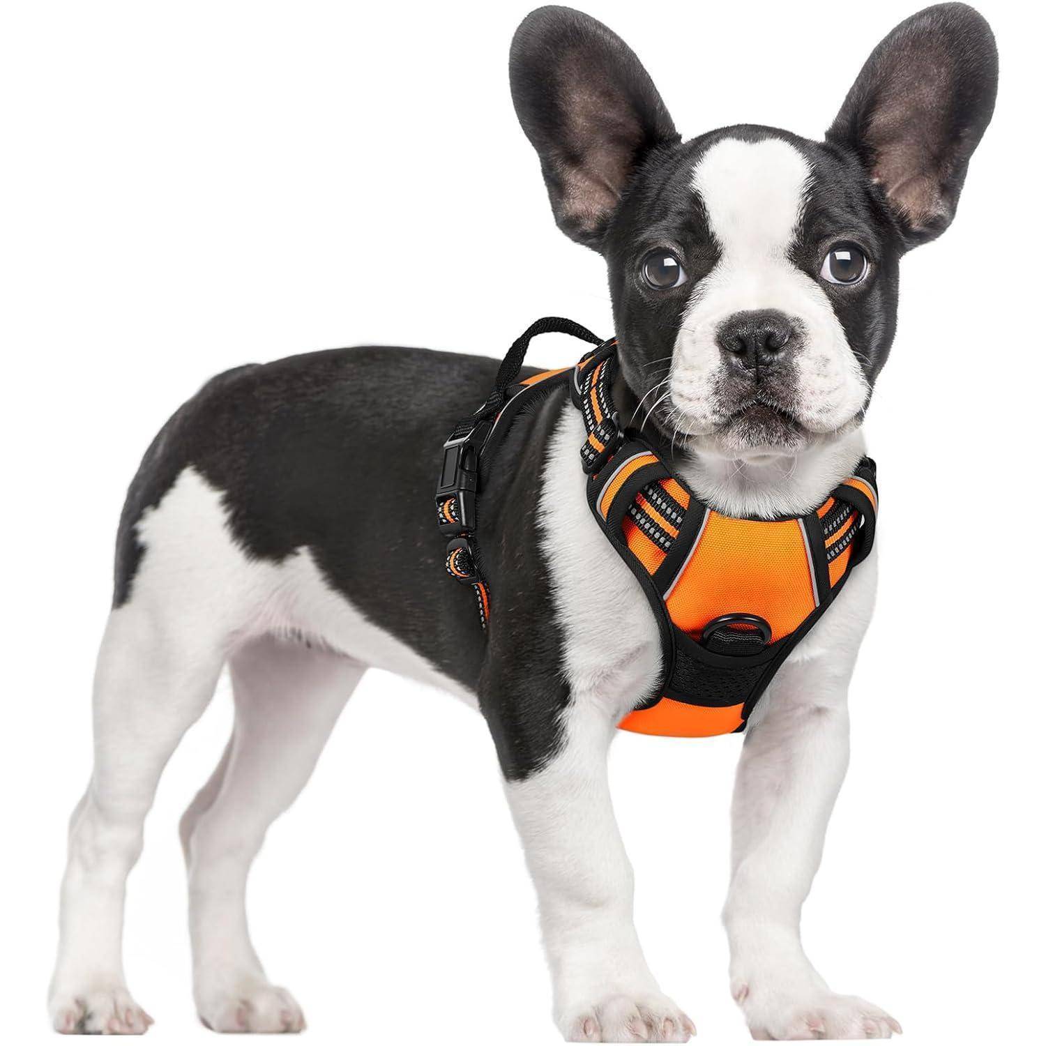 Hundegeschirr No Pull Verstellbar Reflex Orange S (1er Pack)