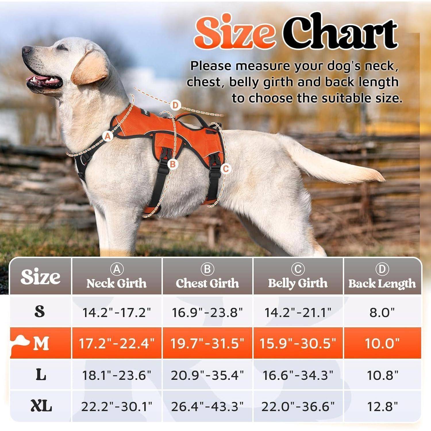 Hundegeschirr Brustgeschirr Anti Zug Gepolstert M (1er Pack) Orange