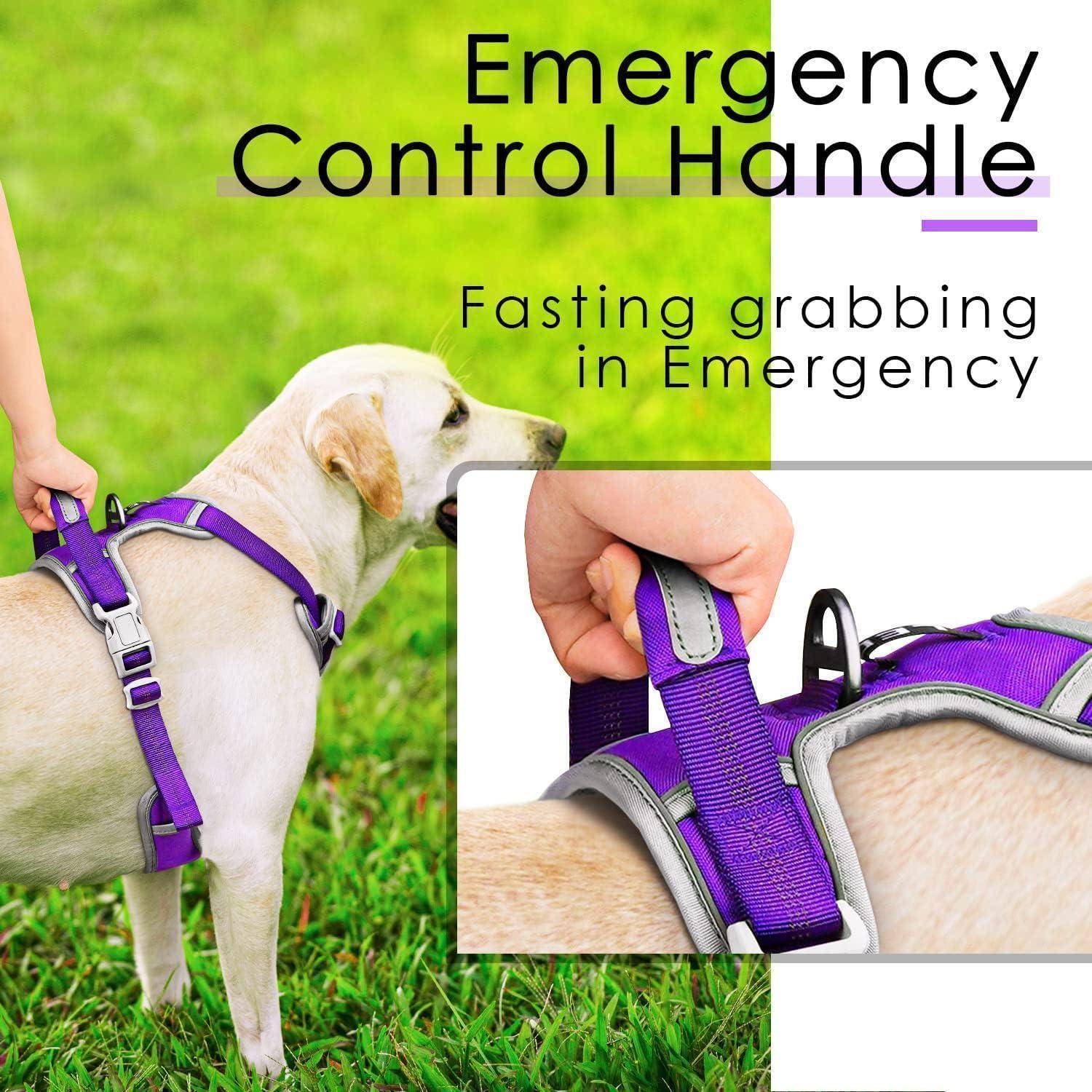 Hundegeschirr Antizug Griff reflektierend Lila XL (1er Pack)
