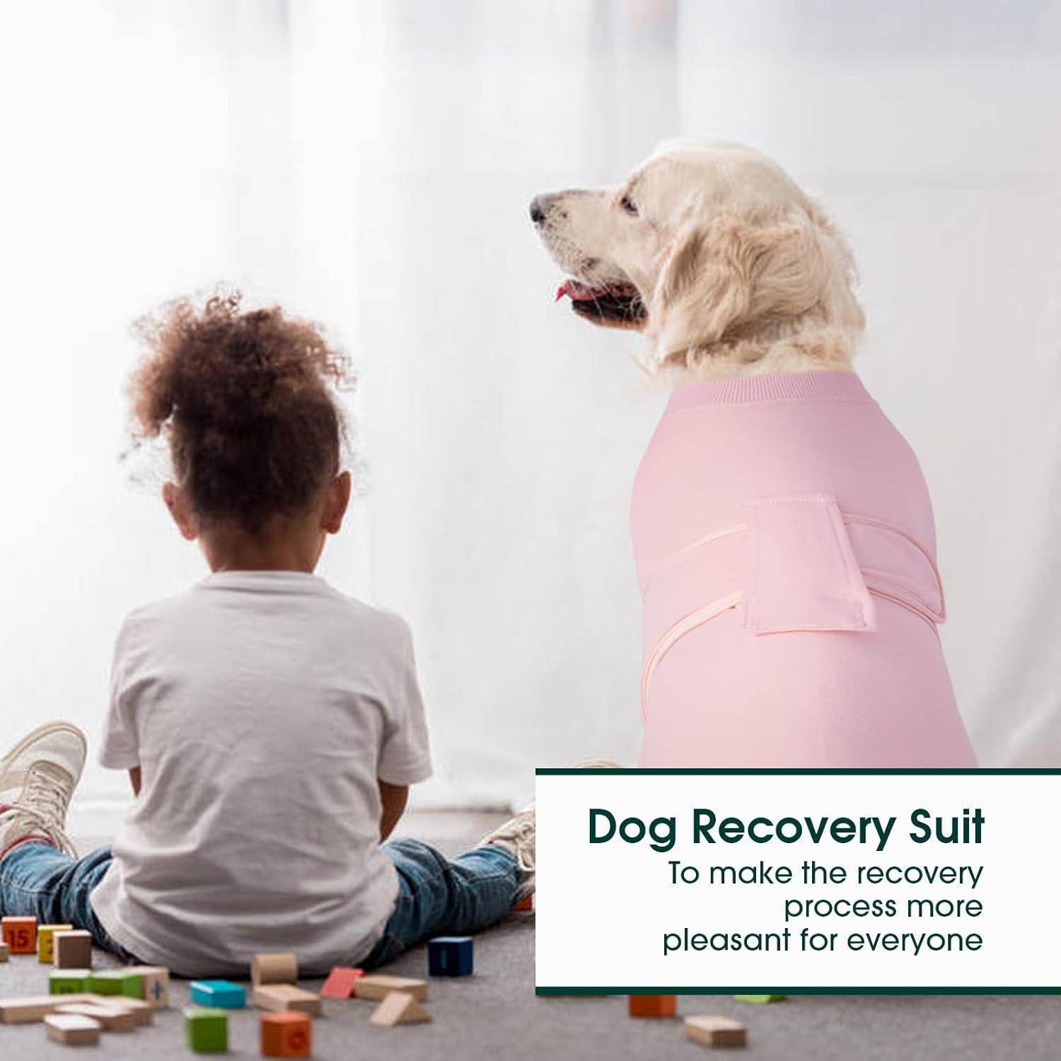 Ein Kind sitzt auf dem Boden neben einem weißen Hund, der einen rosa Genesungsanzug trägt. Text lautet: 'Hunde-Genesungsanzug: Um den Genesungsprozess für alle angenehmer zu gestalten.