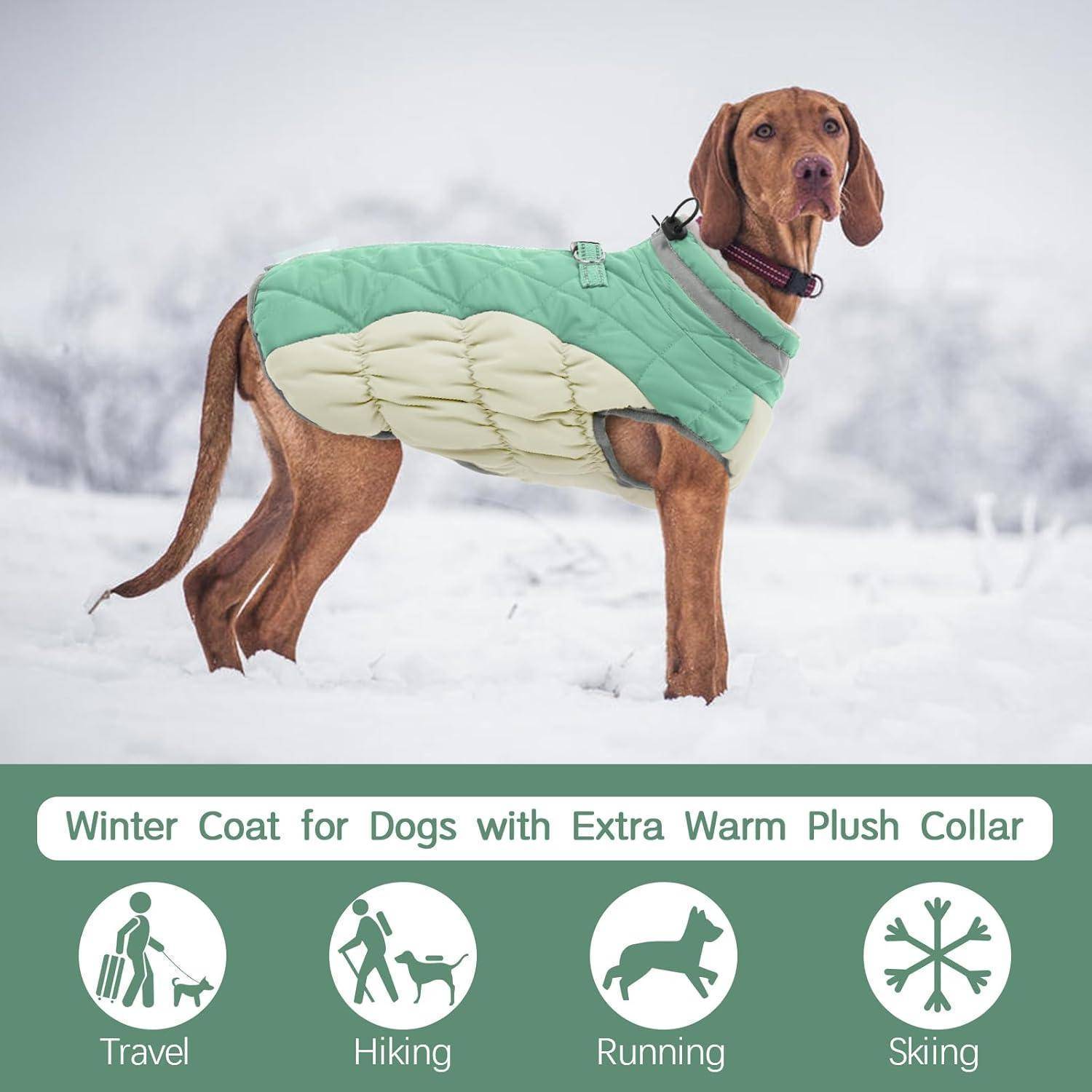 Ein brauner Hund trägt einen grün-weißen Wintermantel mit einem flauschigen Kragen und steht im Schnee. Icons darunter zeigen Anwendungen für Reisen, Wandern, Laufen und Skifahren.