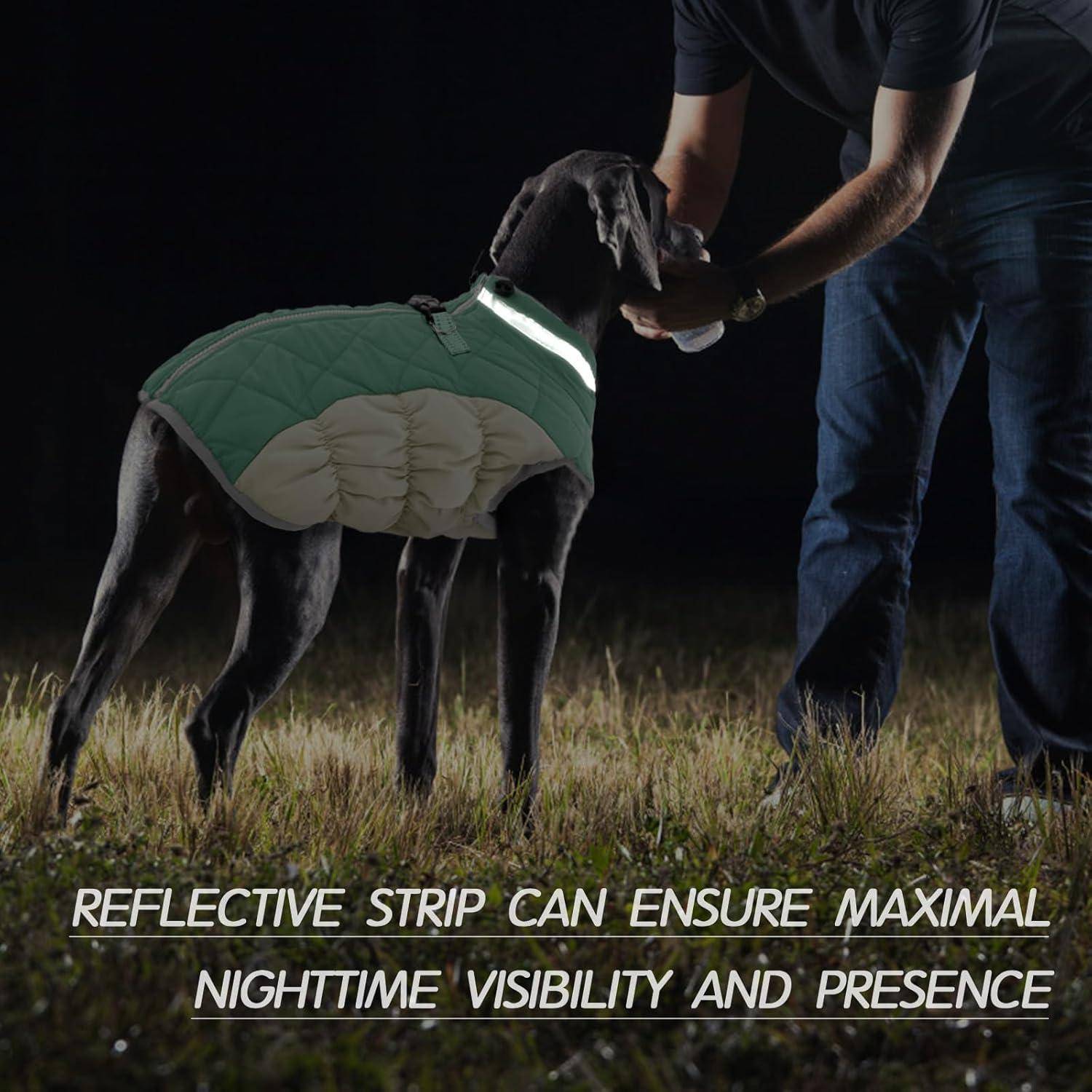 Ein großer Hund mit einer grünen reflektierenden Weste steht nachts auf Gras und blickt auf eine Person. Text lautet: ‚Reflektierende Streifen können maximale Sichtbarkeit und Präsenz bei Nacht sicherstellen.