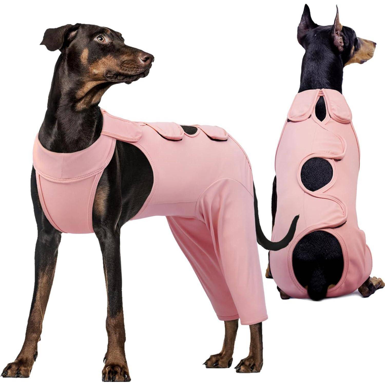 Zwei Hunde in rosa Schutzanzügen mit Beinabdeckungen, einer nach vorne und der andere nach hinten gerichtet, designt für Wärme und Schutz.