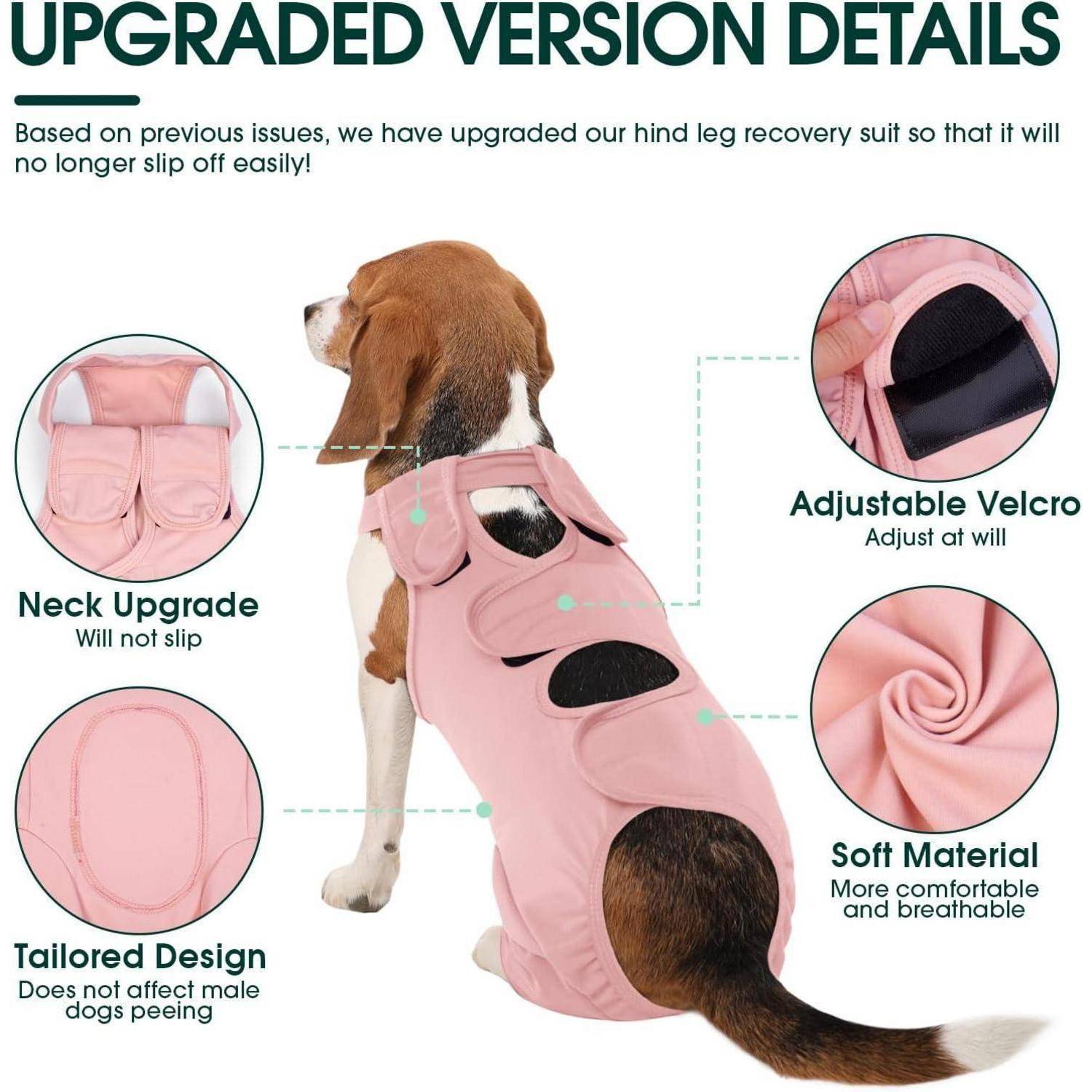 Beagle trägt einen rosa Genesungsanzug mit Details: Verstellbarer Klettverschluss, Halsverbesserung, weiches Material, maßgeschneiderte Passform. Der Anzug verhindert Verrutschen.