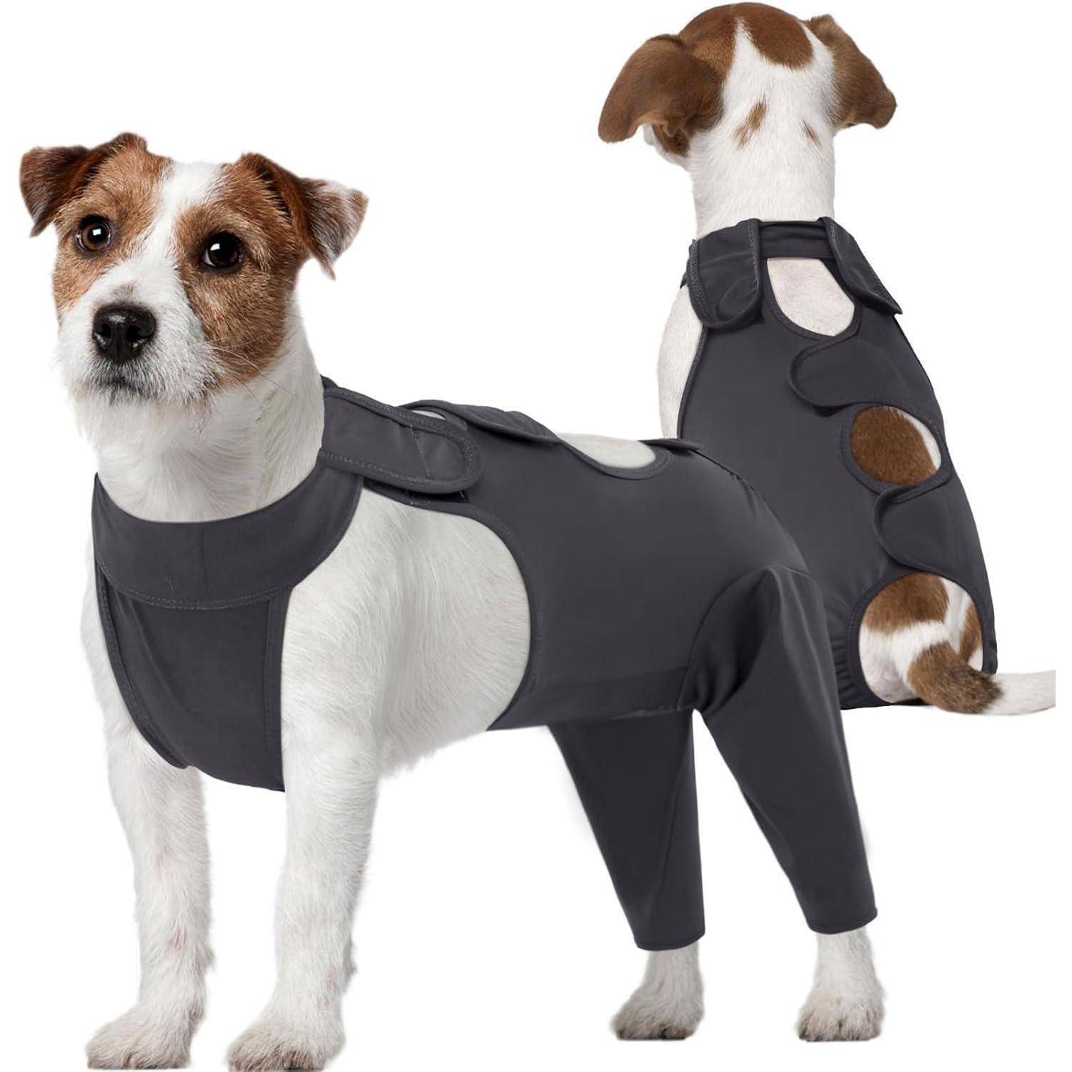Zwei kleine Hunde, die graue, ganzkörperliche Schutzanzüge tragen. Ein Hund schaut nach vorne, der andere zeigt die Rücken- und Seitenöffnungen des Anzugs.