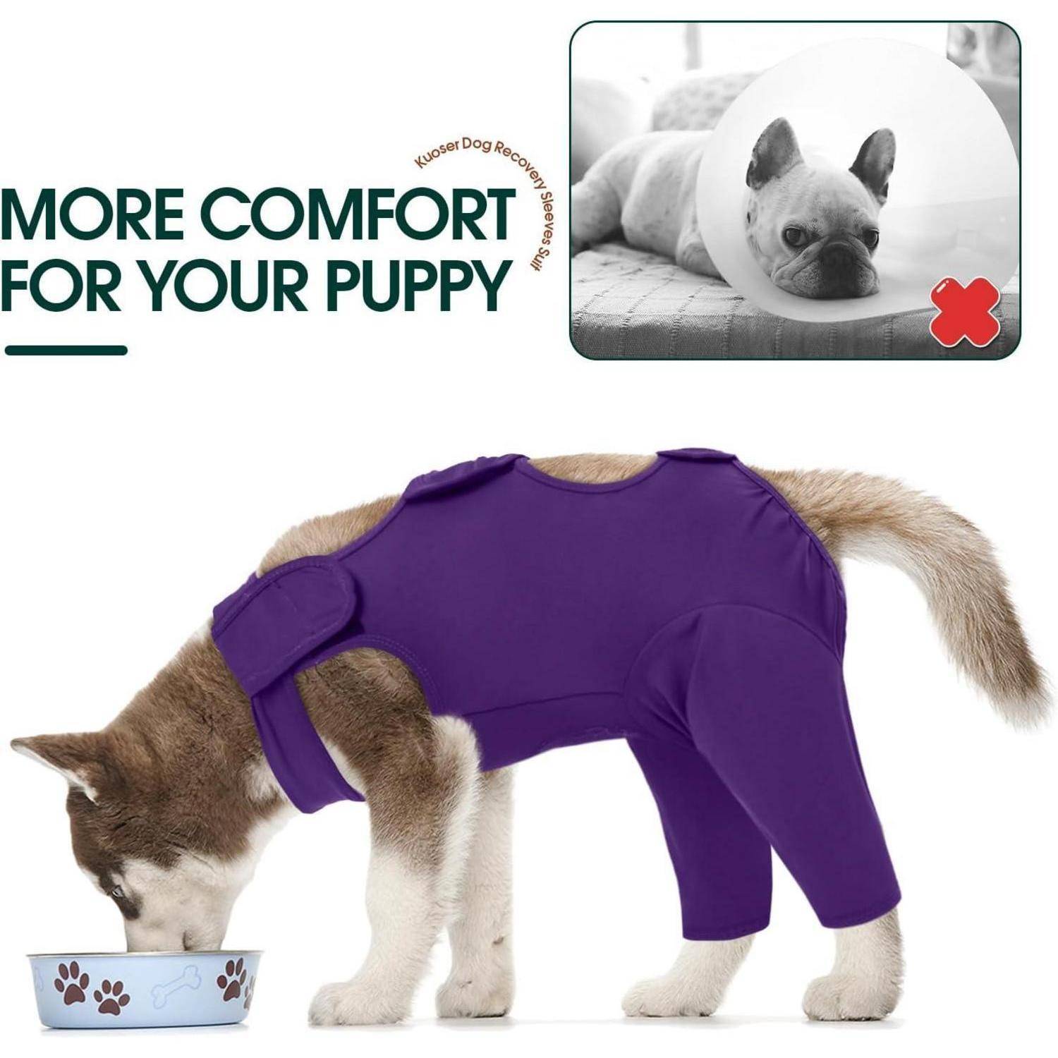 Ein Siberian Husky Welpe trägt einen violetten Genesungsanzug, der das Belecken von Wunden verhindert. Die Einblendung zeigt einen Hund mit einem Trichter, der mit einem X markiert ist.