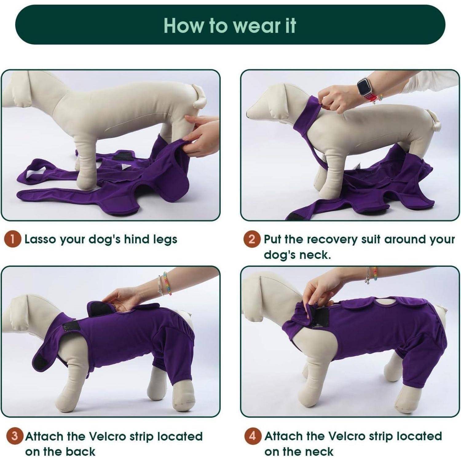 Hundebody Kastration Anti Wundlecken M(Brust:47-58cm) Brillantviolett