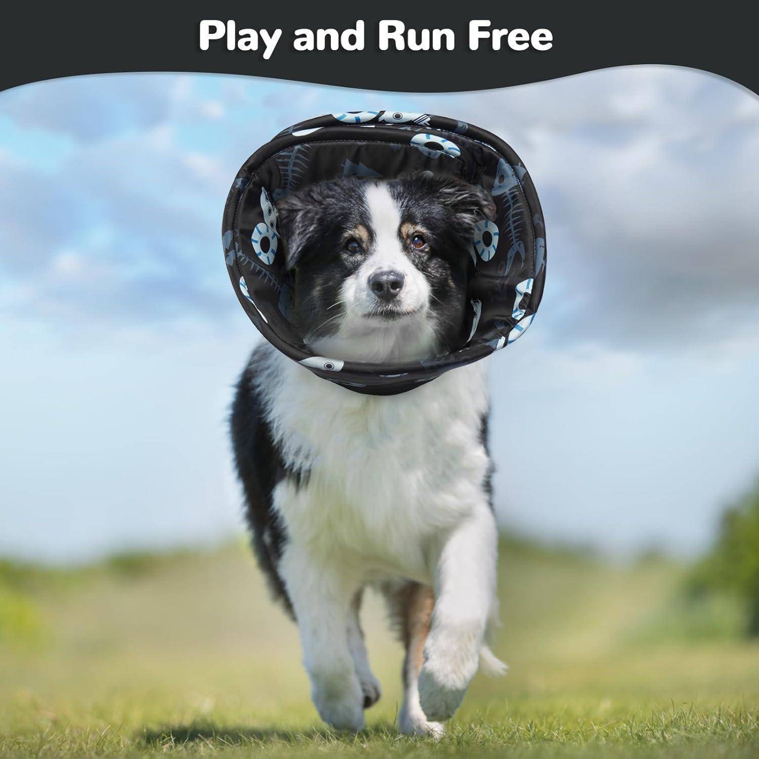 Ein Hund läuft durch ein Feld und trägt einen verspielten Kegel mit Totenkopf-Designs, unter dem Text 'Spiel und Lauf frei'.