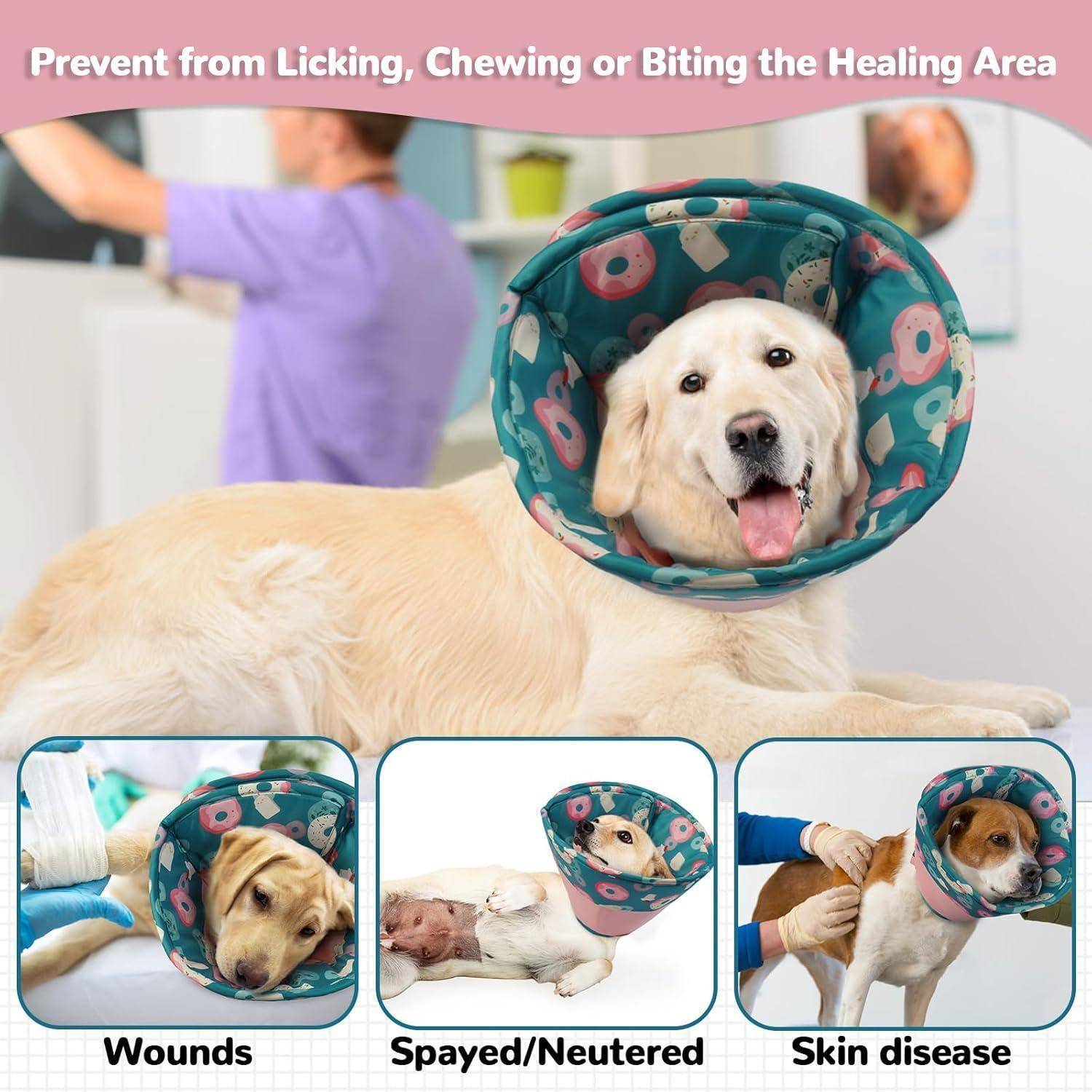 Ein Goldener Retriever trägt einen Schutzkragen, um das Belecken von Wunden zu verhindern. Kleine Bilder zeigen Verwendungen bei Wunden, nach Sterilisation und bei Hauterkrankungen.