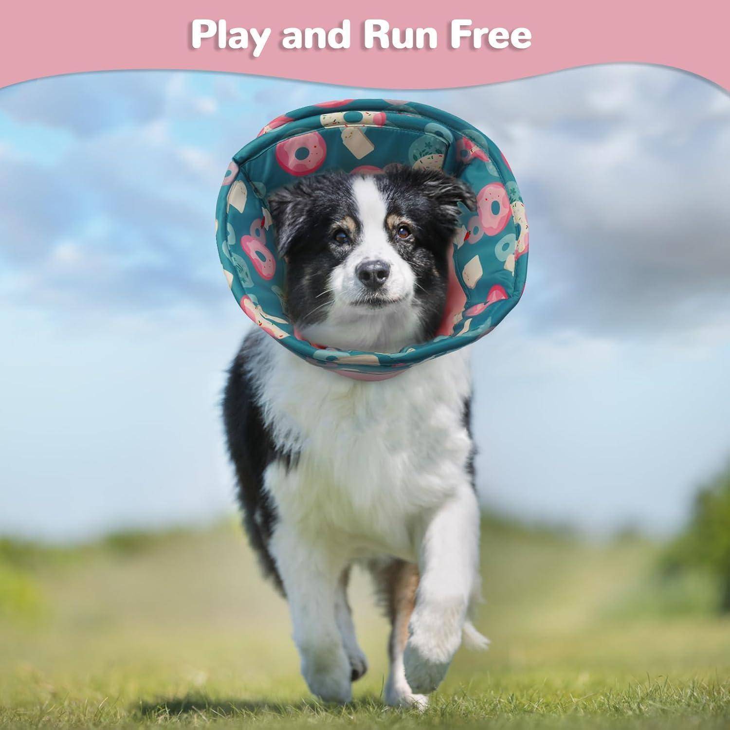 Ein Hund mit einem bunten Schutzkegel läuft frei über ein grasiges Feld unter einem blauen Himmel. Der Text darüber liest sich „Spiel und Lauf Frei