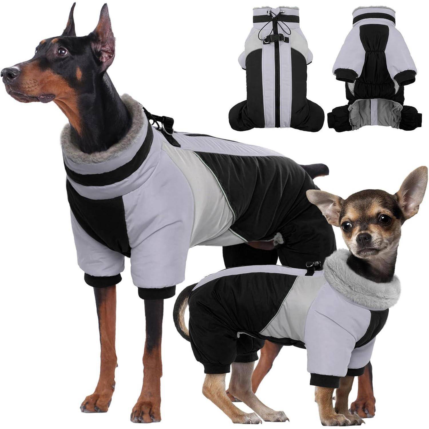Zwei Hunde tragen schwarze und graue Winterjacken und posieren vor einem weißen Hintergrund. Die Jacken haben Fellkragen und reflektierende Bänder.