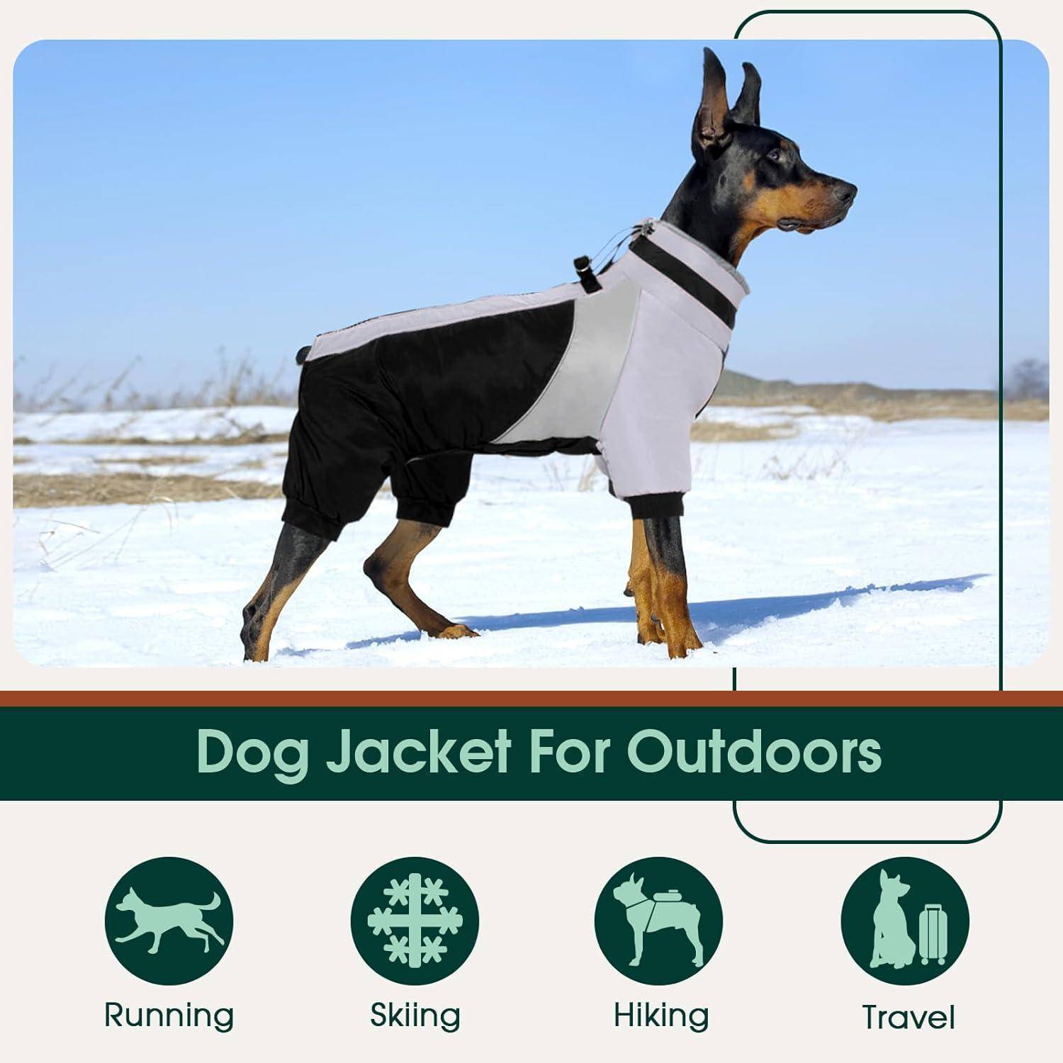 Hund mit einer Schutzjacke im Freien auf einem verschneiten Feld. Symbole unten zeigen die Verwendung der Jacke für Laufen, Skifahren, Wandern und Reisen.