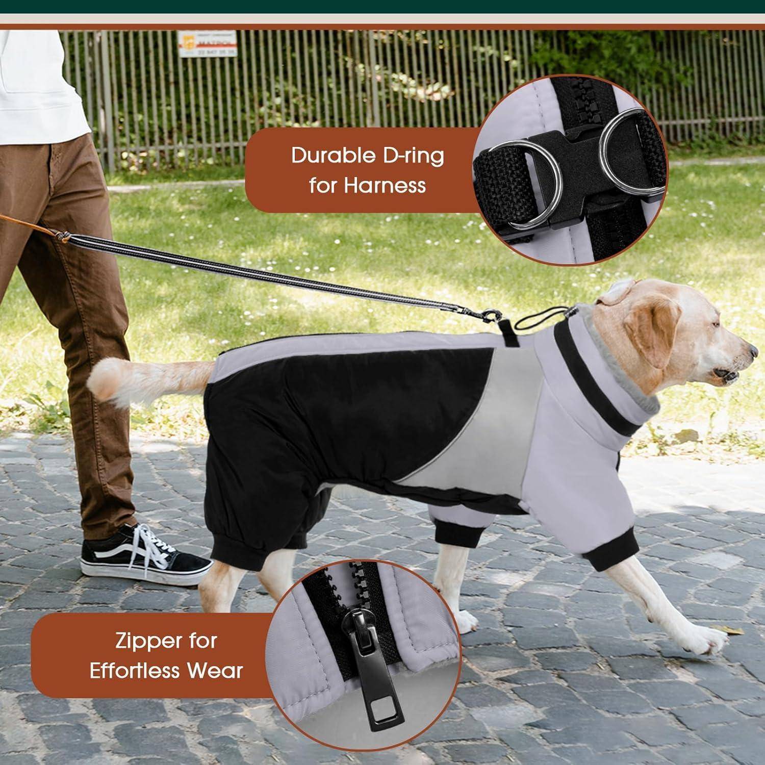 Ein Hund in einem grauen und schwarzen Outfit an der Leine läuft neben einer Person. Einblendungen zeigen einen „Robusten D-Ring für Geschirr