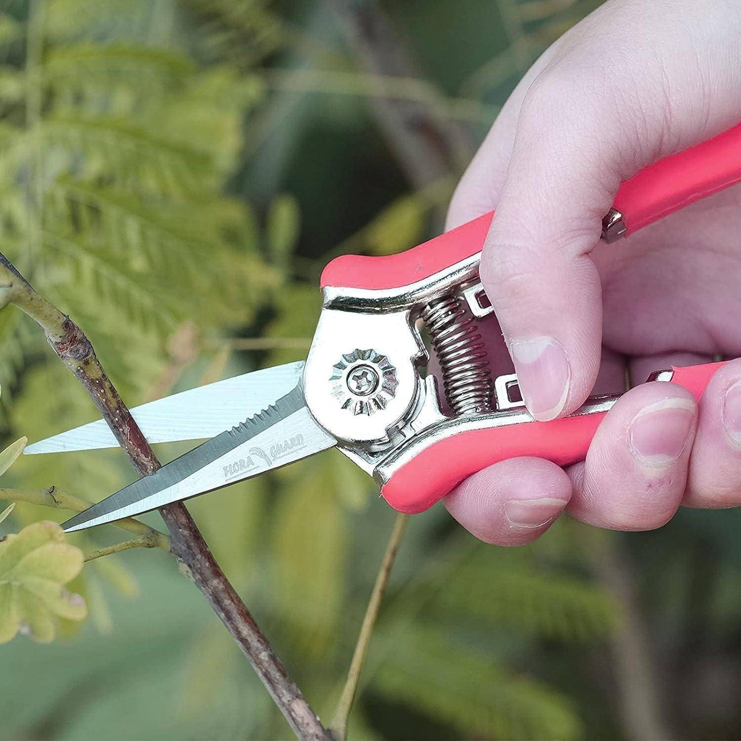 Eine Hand, die mit roten Gartenscheren einen kleinen Ast abschneidet, vor einem Hintergrund von grünem Blattwerk.