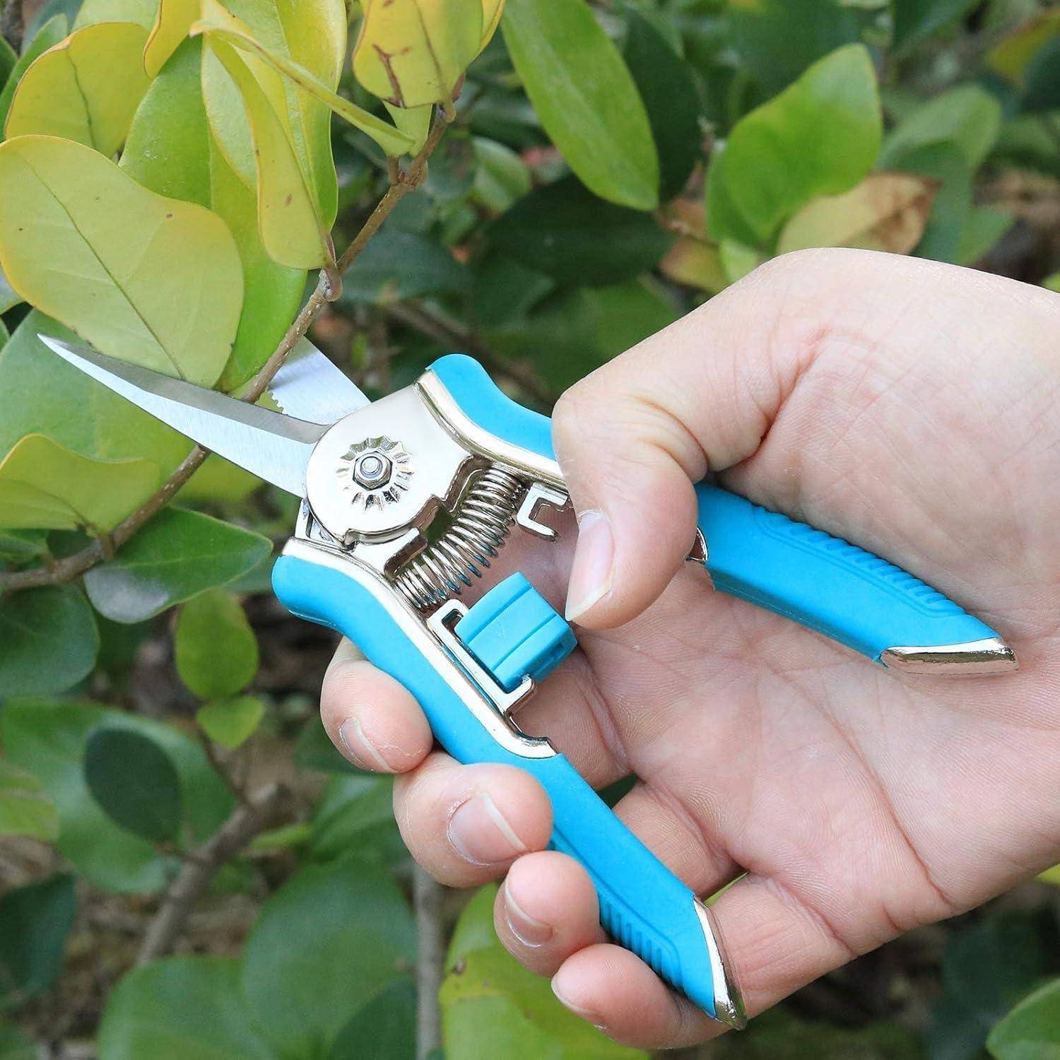 Eine Hand, die Gartenscheren mit blauem Griff hält und einen Ast zwischen grünen Blättern abschneidet.