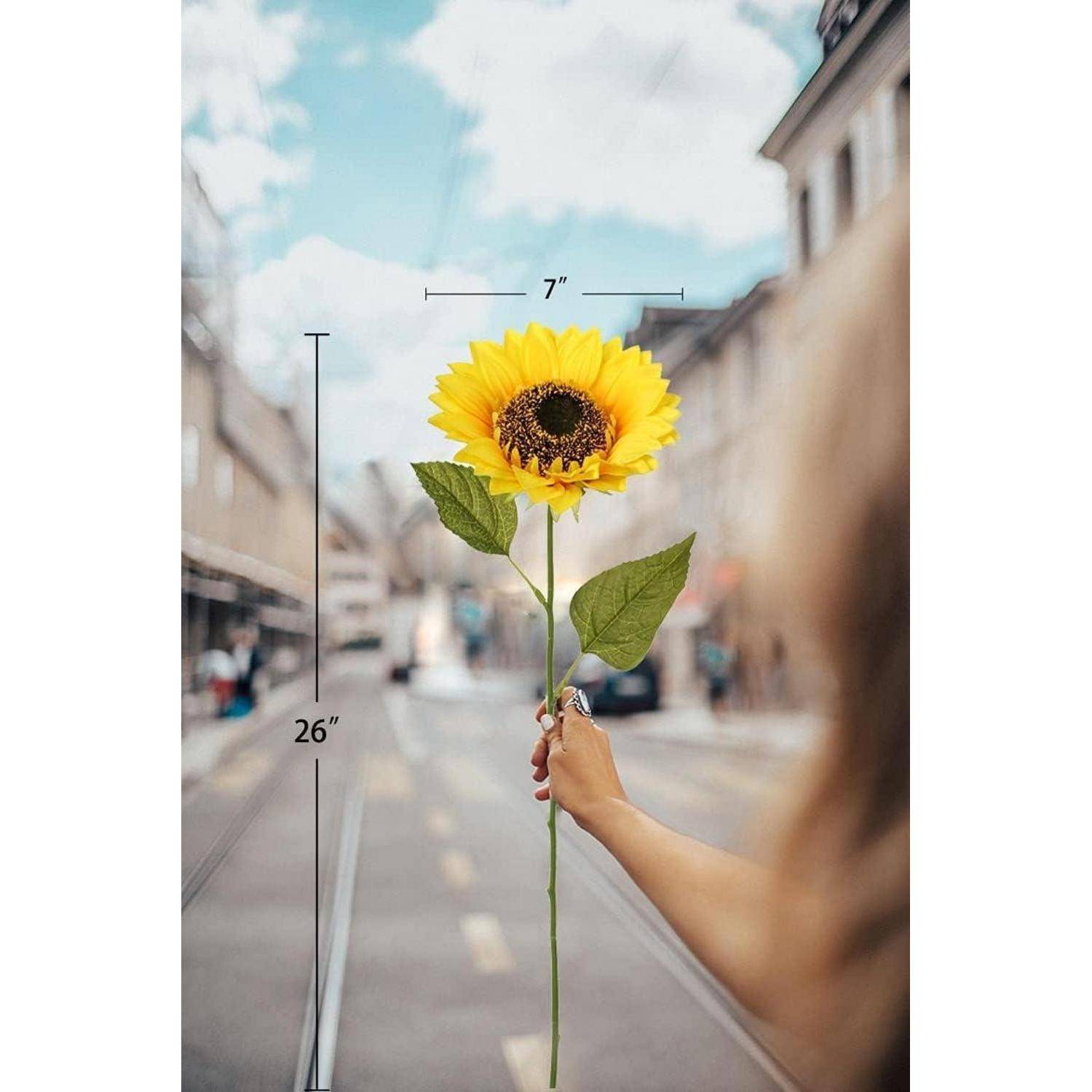 Eine Hand hält eine Sonnenblume auf einer Straße, mit einer Stängellänge von 26 Zoll und einem Blumenduchmesser von 7 Zoll.