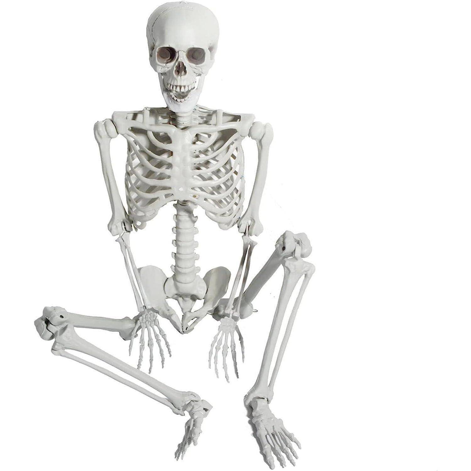 Halloween Skelett 165cm Lebensgroß Ganzkörper Knochen Gelenke Party
