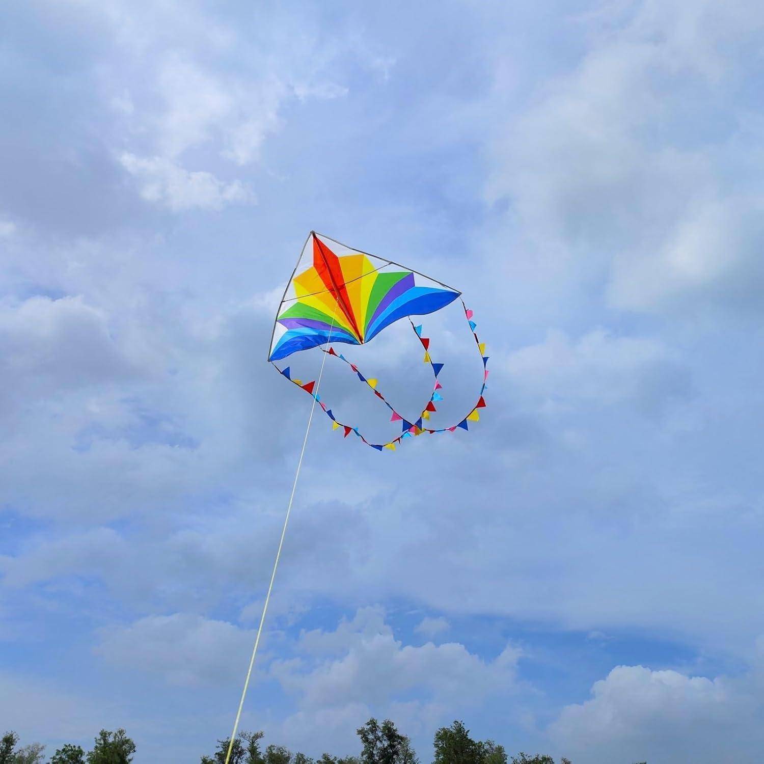 Großer Regenbogen Delta Drachen Kinder Strand 300ft