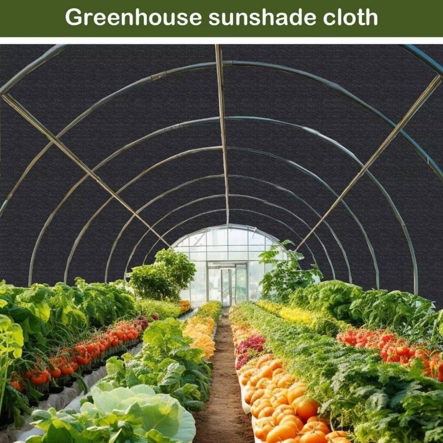 Innenansicht eines Gewächshauses mit Reihen verschiedener Gemüsesorten. Ein dunkler Sonnenschutz-Stoff bedeckt das gewölbte Dach, mit einem sonnendurchfluteten Eingang im Vordergrund.