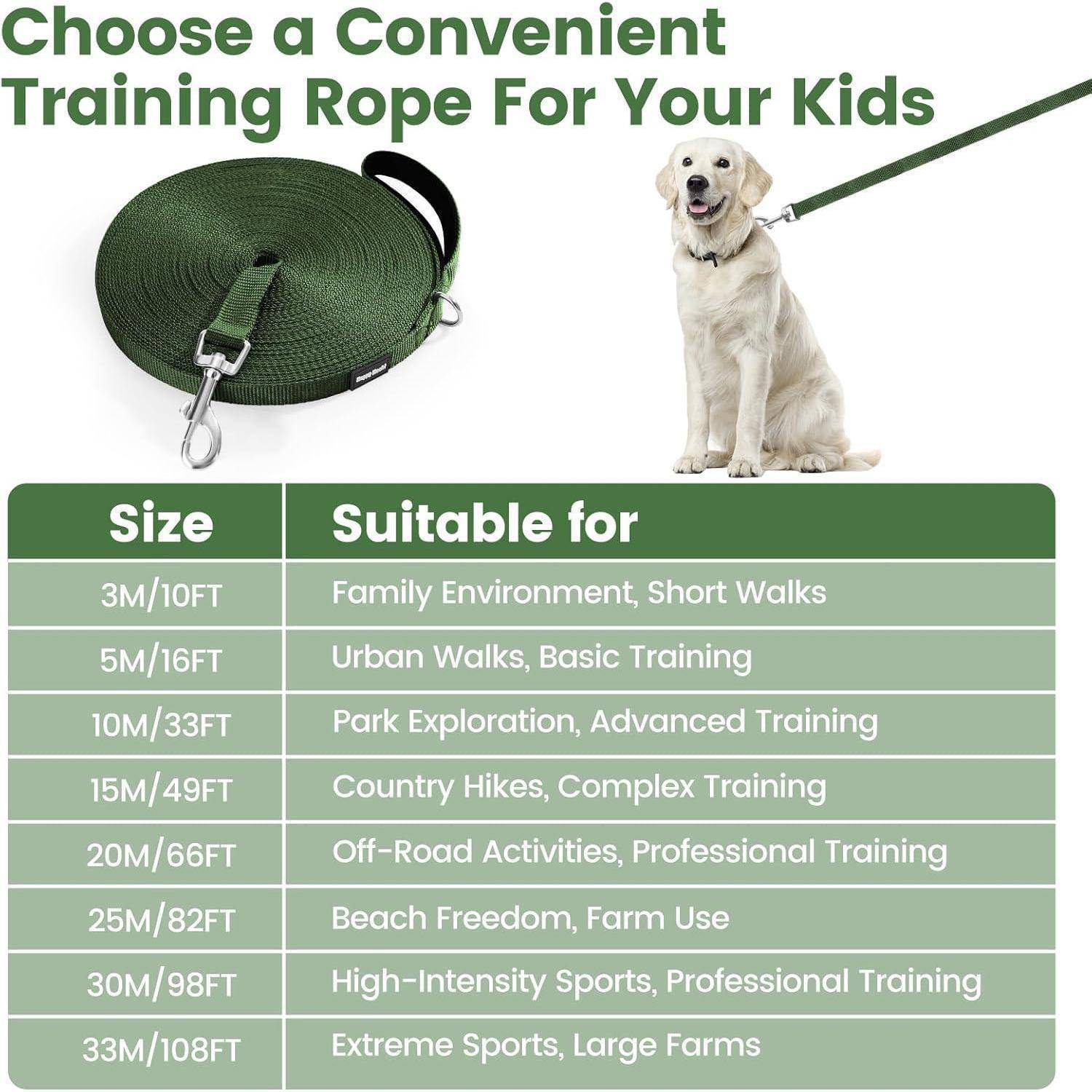 Schleppleine für Hunde 3m Nylon Trainingsleine mit D-Karabiner Green