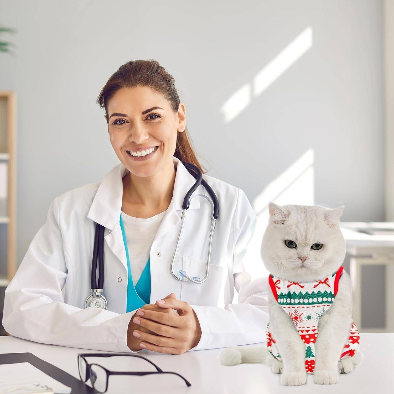 Katzenbody Erholungsanzug Kastration Spay Entwöhnung Suit M