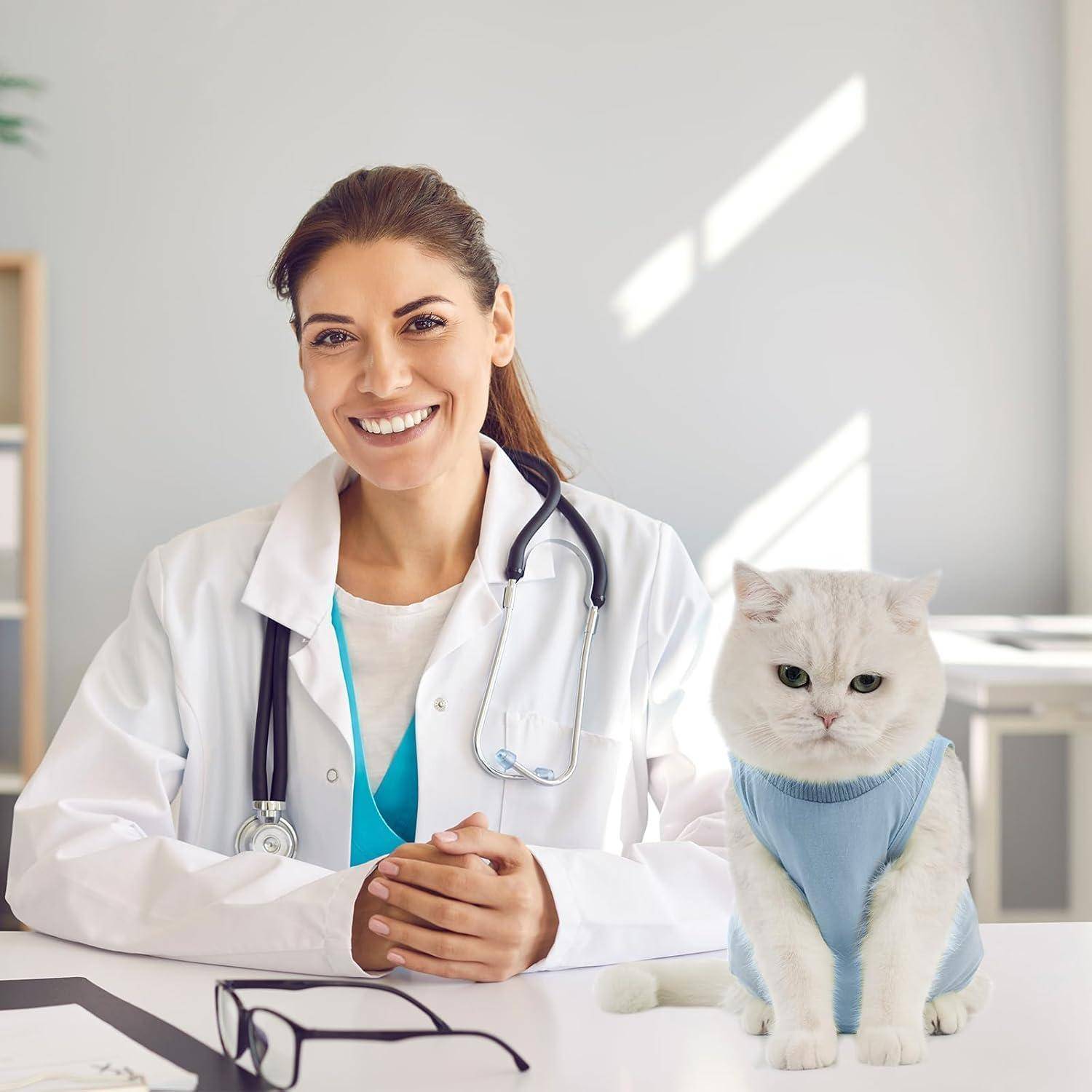 Katzenbody Erholungsanzug Kastration Spay Entwöhnung Suit für