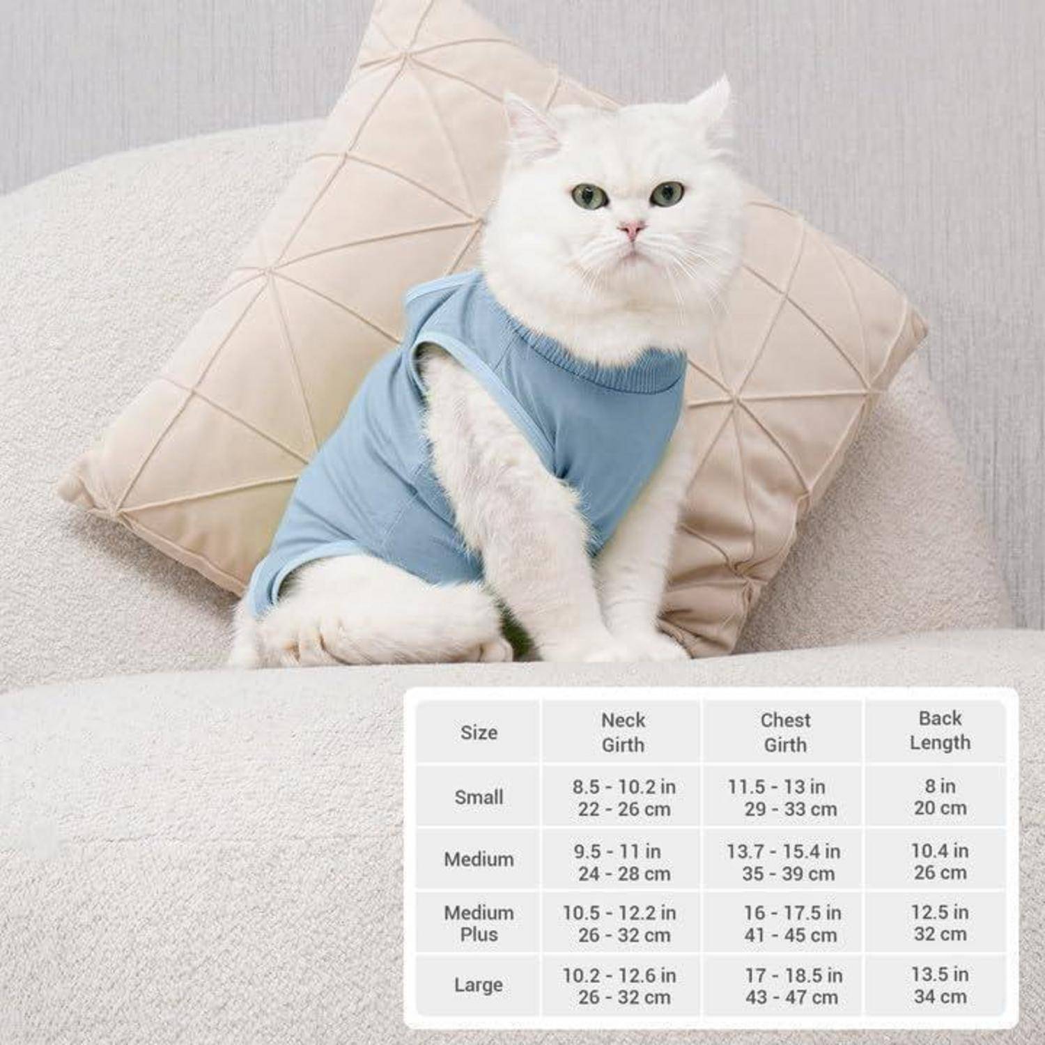 Eine flauschige weiße Katze, die einen blauen Pullover trägt, sitzt auf einem beigen Kissen. Darunter befindet sich eine Größentabelle mit Hals-, Brust- und Rückenmessungen.
