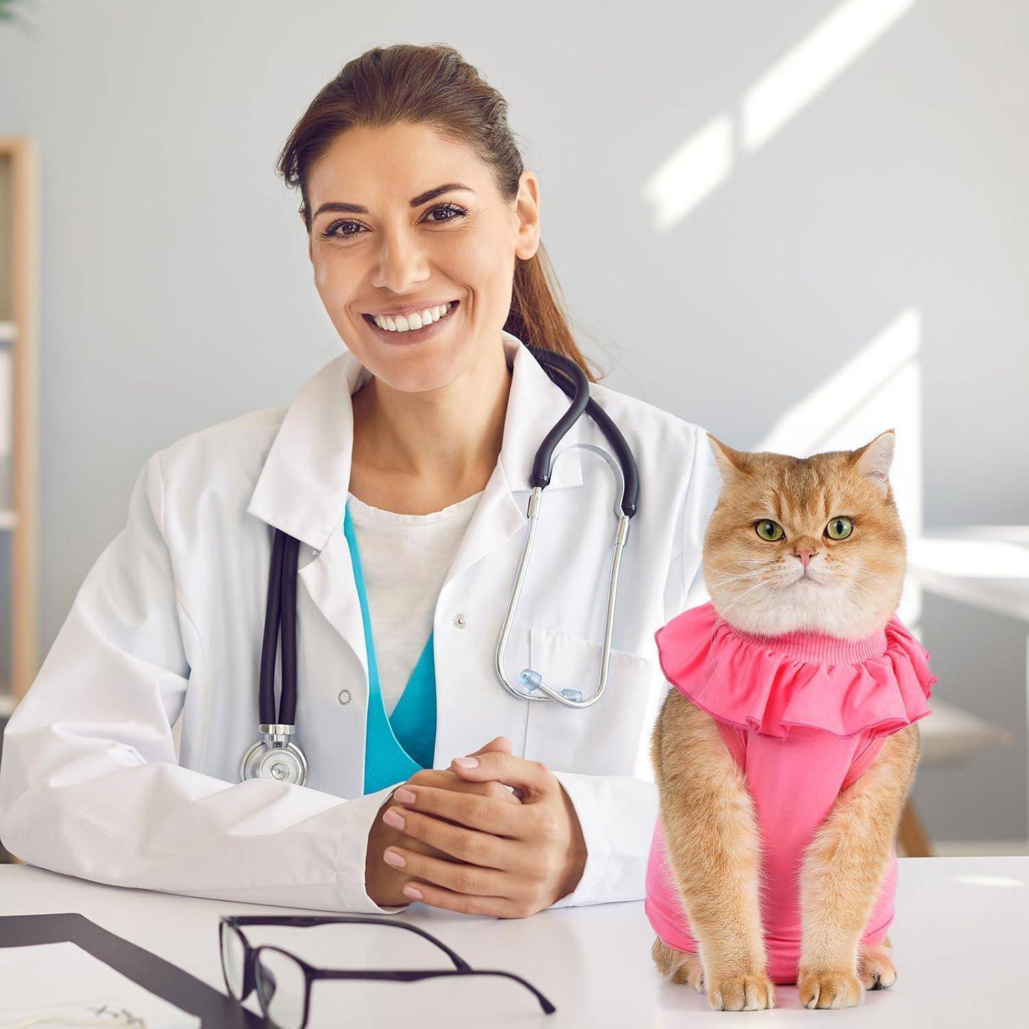 Katzenbody Erholungsanzug Kastration OP Suit Modal Medium Rosepink