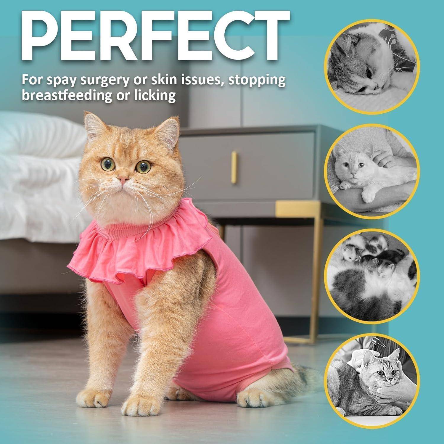Katzenbody Erholungsanzug Kastration OP Suit Modal Medium Rosepink
