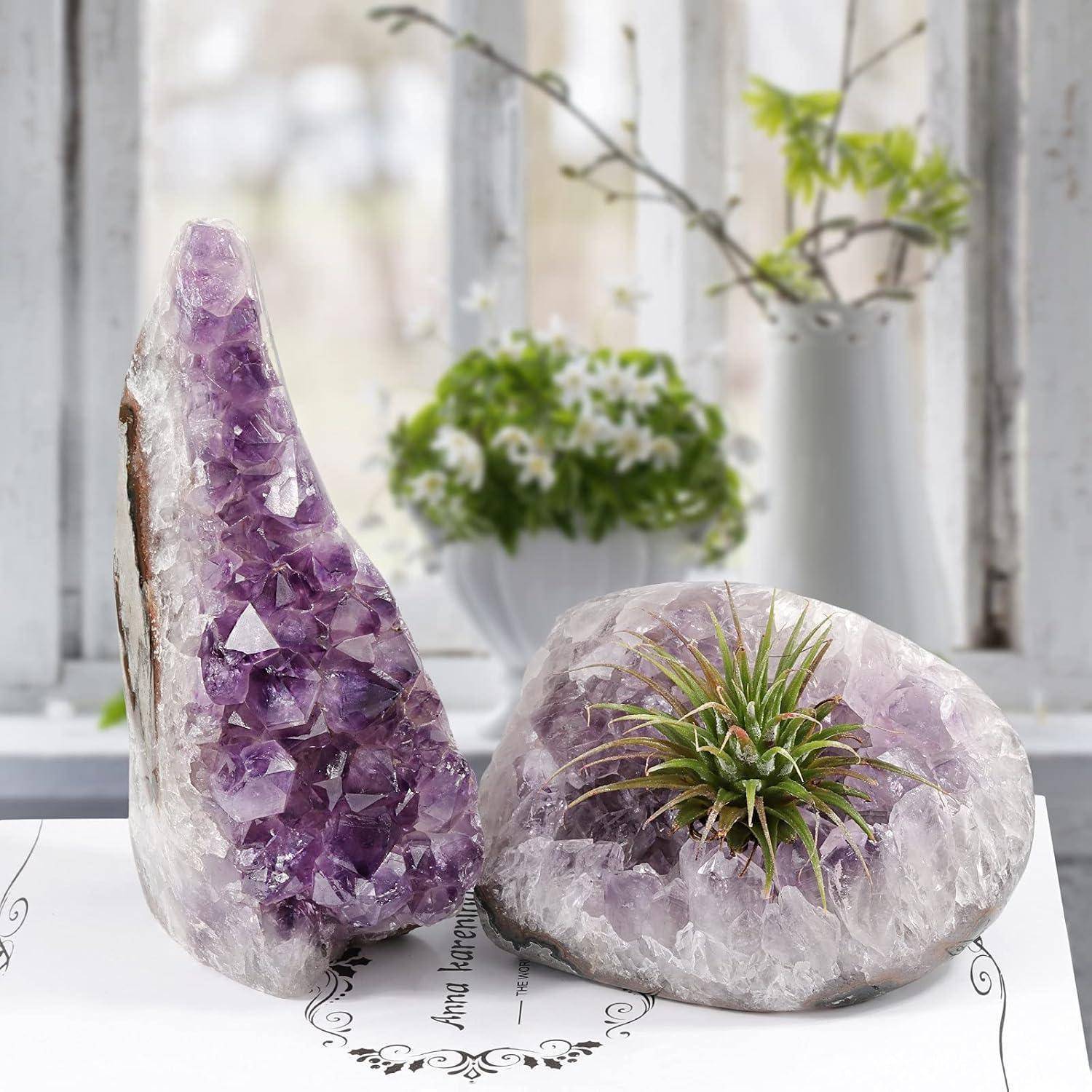 Zwei Amethystgeoden mit Kristallformationen; eine ist hoch und dreieckig, die andere rund mit einer grünen Luftpflanze auf der Spitze. Rustikaler Fenster-Hintergrund.