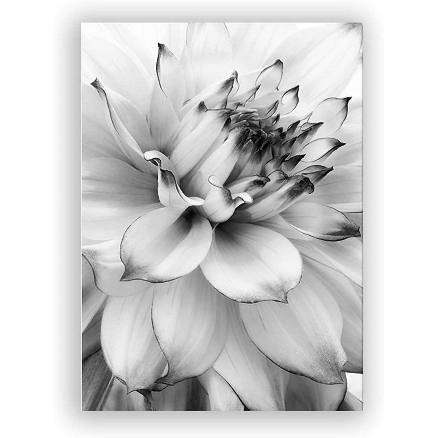 Poster Set 3teilig Blume Löwenzahn schwarz weiß Wanddeko A 40x60cm
