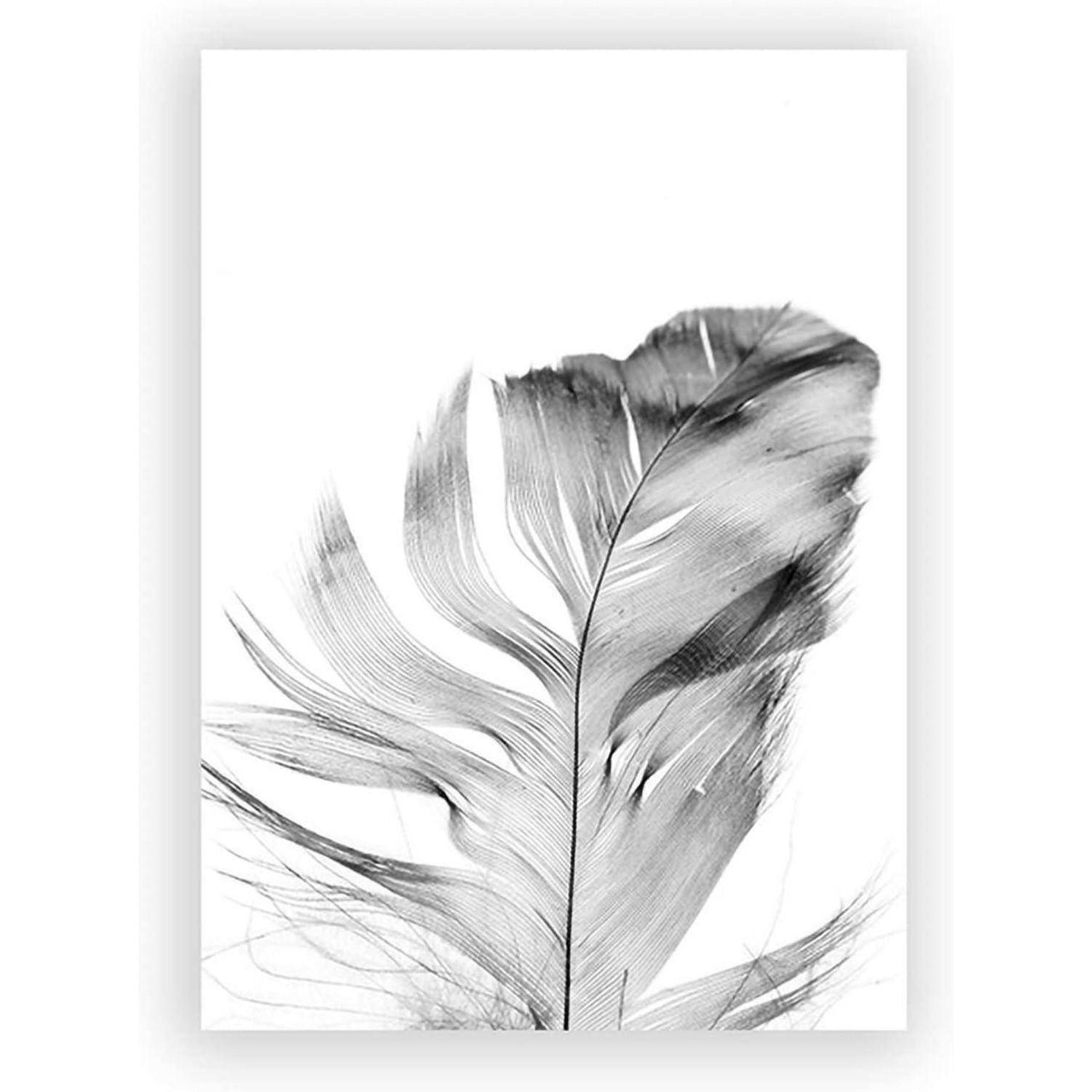Poster Set 3teilig Blume Löwenzahn schwarz weiß Wanddeko A 40x60cm