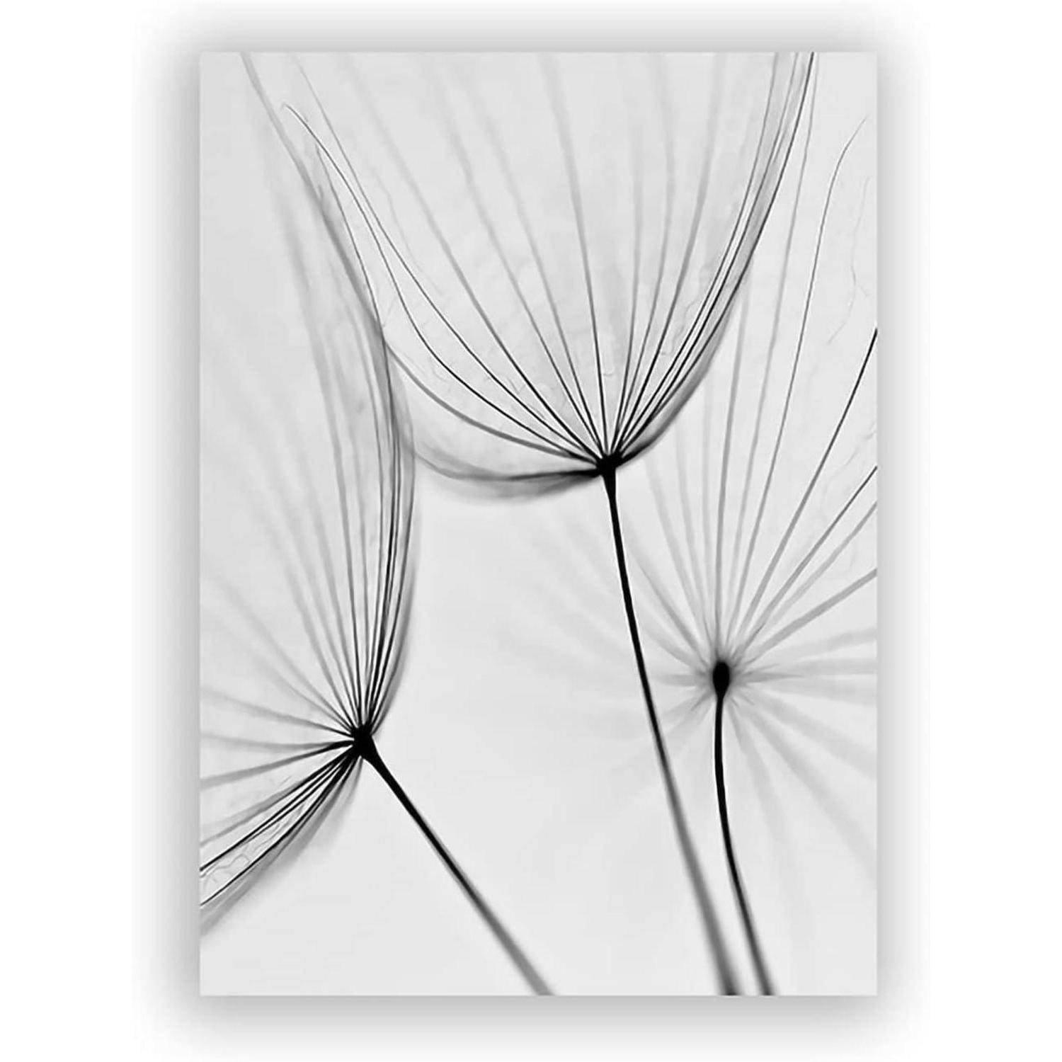 Poster Set 3teilig Blume Schwarz Weiß Löwenzahn Wandbilder B 21x30cm
