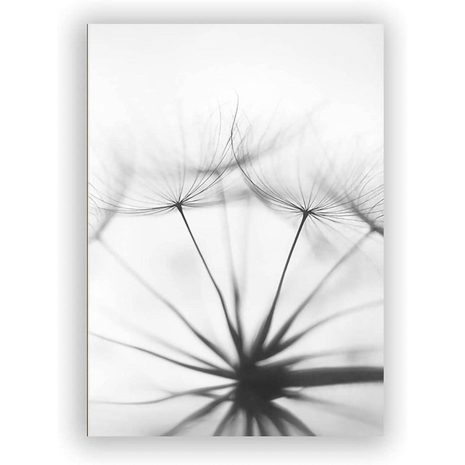 Poster Set 3teilig Blume Schwarz Weiß Löwenzahn Wandbilder B 21x30cm