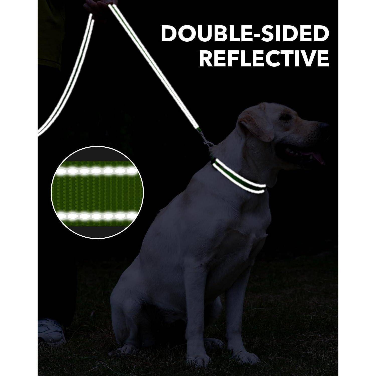 Ein Hund mit einer leuchtenden, beidseitig reflektierenden Leine und einem Halsband in einer dämmrigen Umgebung. Eingesetzt ist eine Nahaufnahme des reflektierenden Materials.